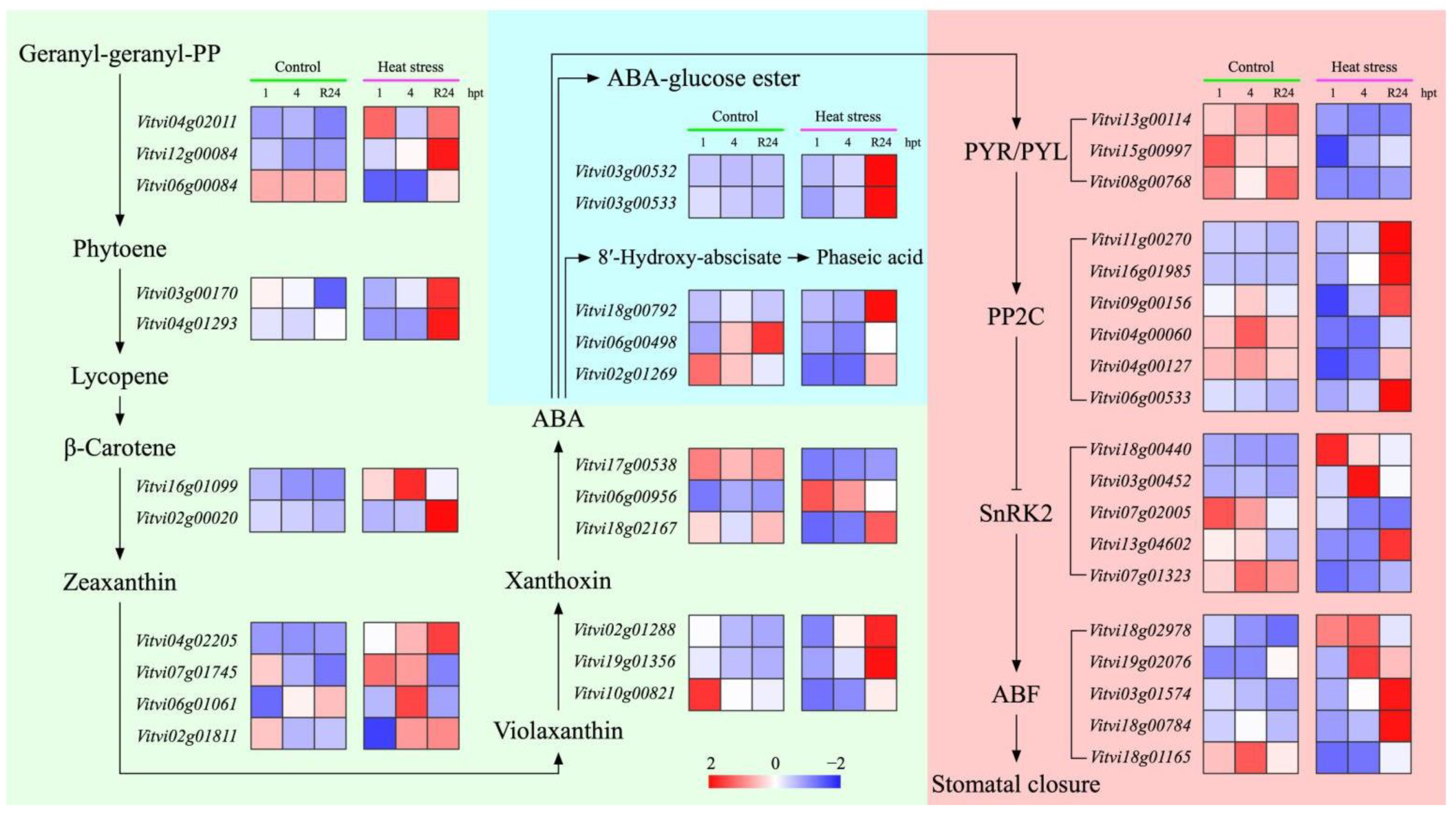 Agronomy 12 02591 g006