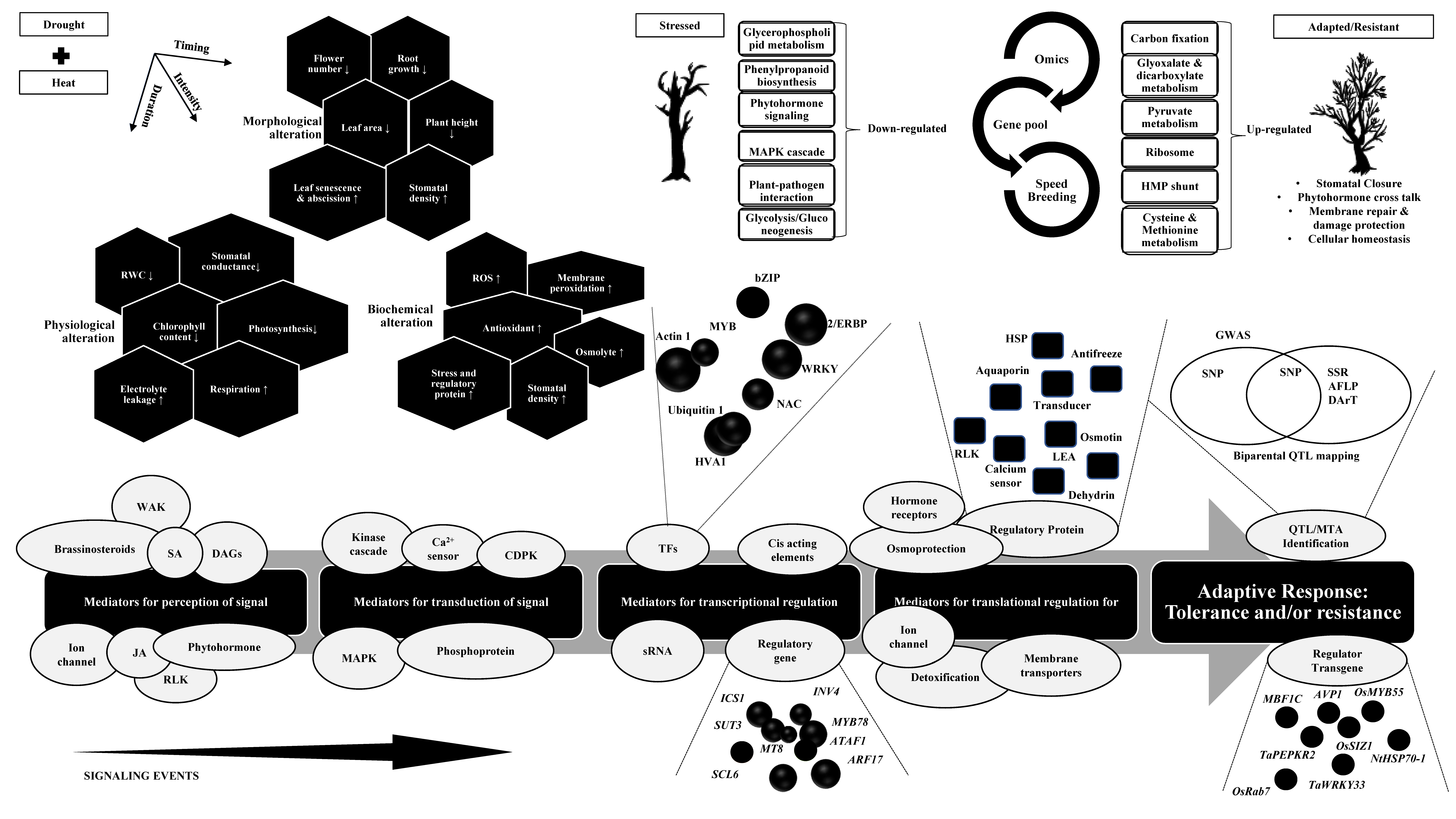 Agronomy 12 02795 g002 Agronomy 12 02795 g002