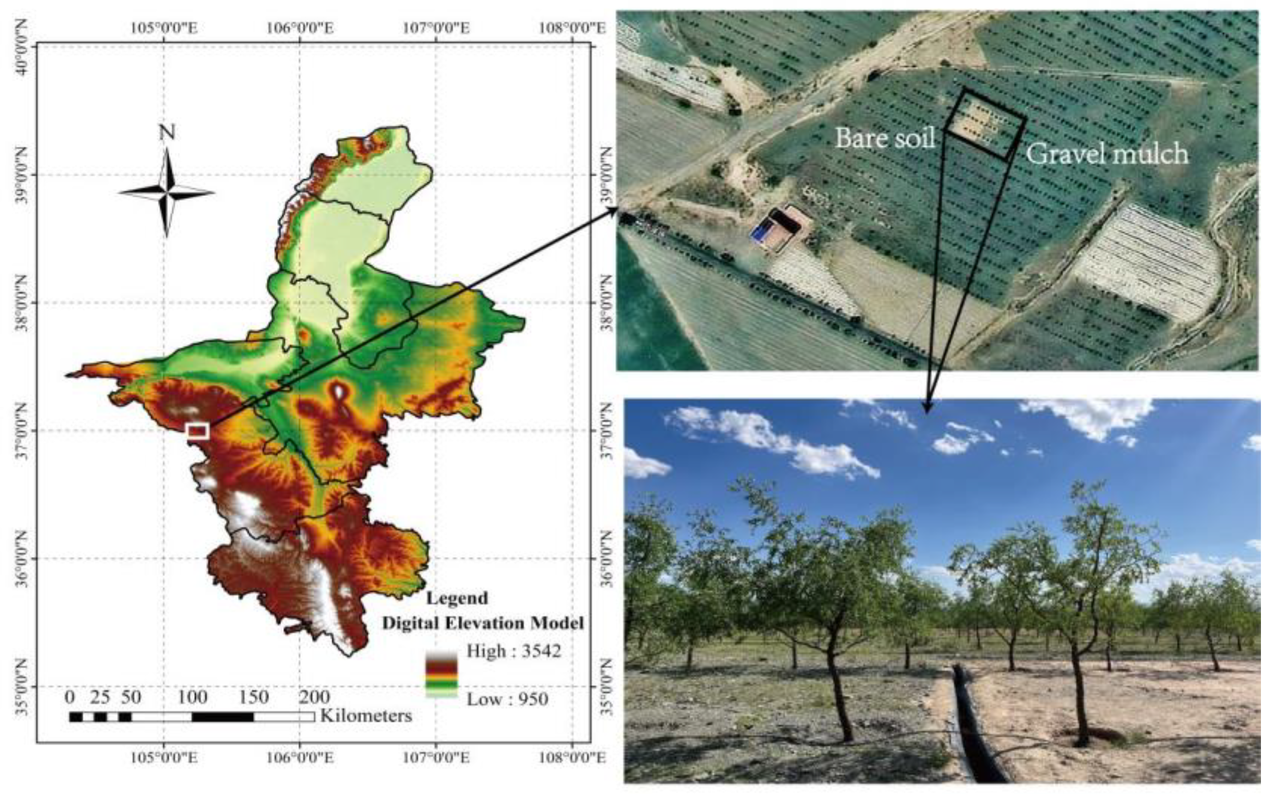 Agronomy 12 02881 g001