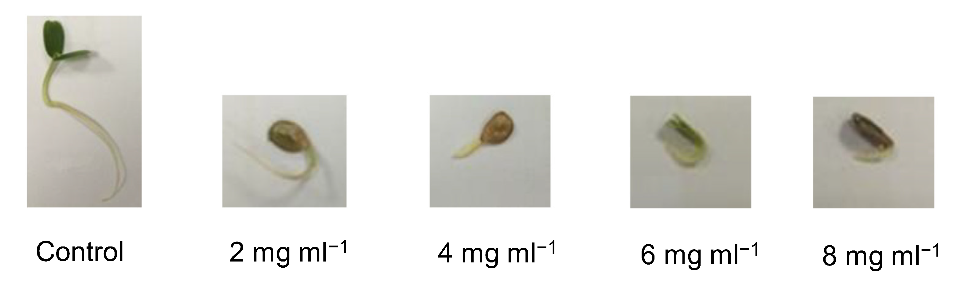 Agronomy 13 00590 g006