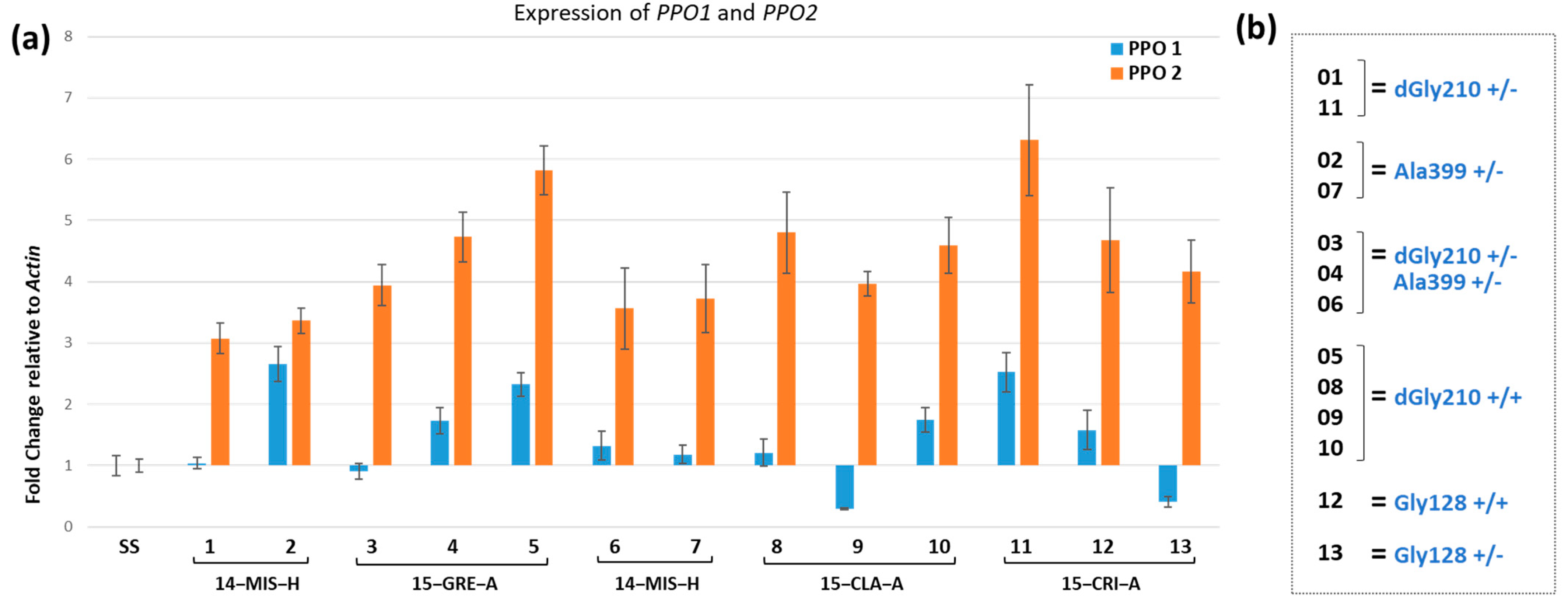 Agronomy 13 00592 g001
