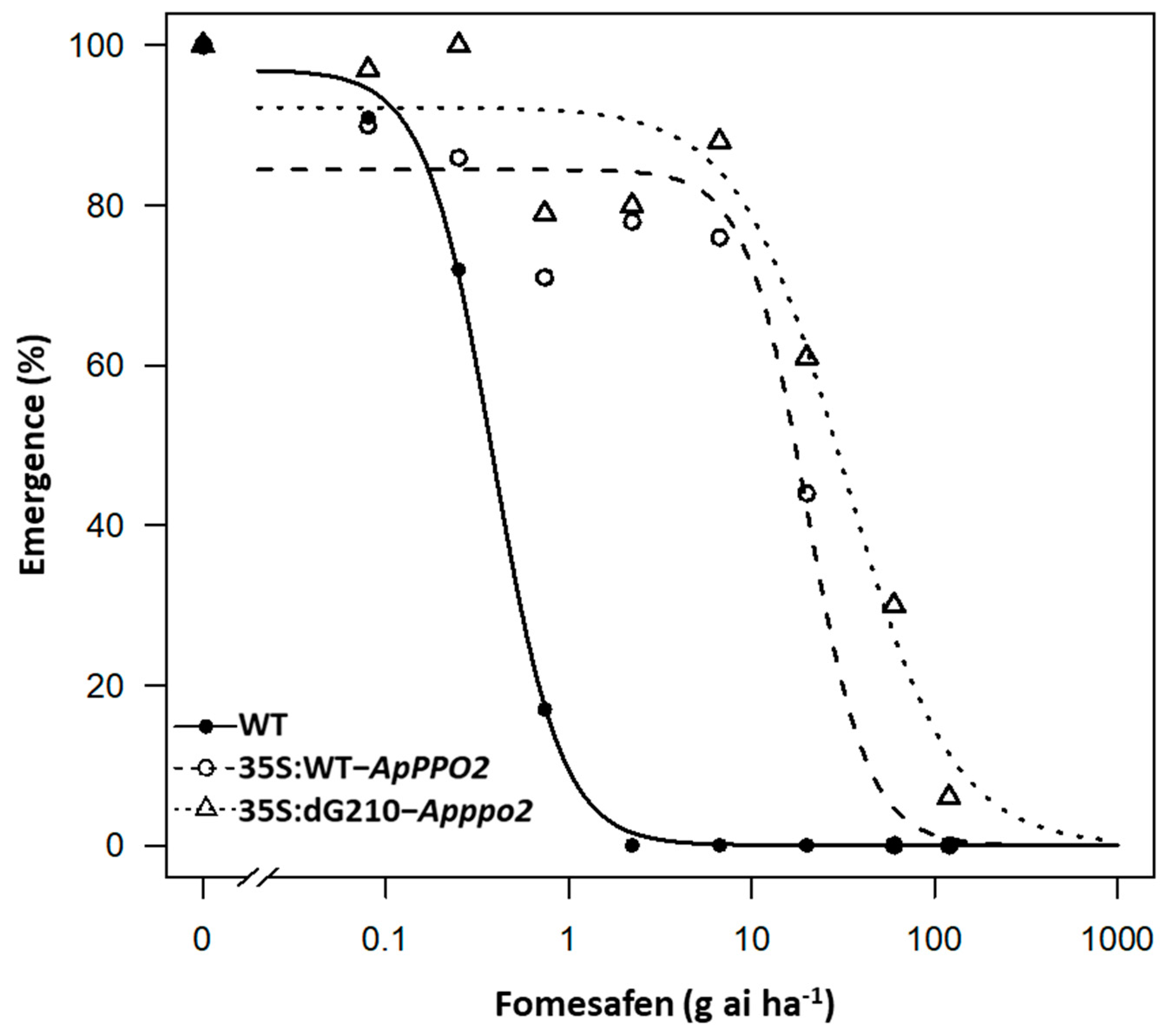 Agronomy 13 00592 g002