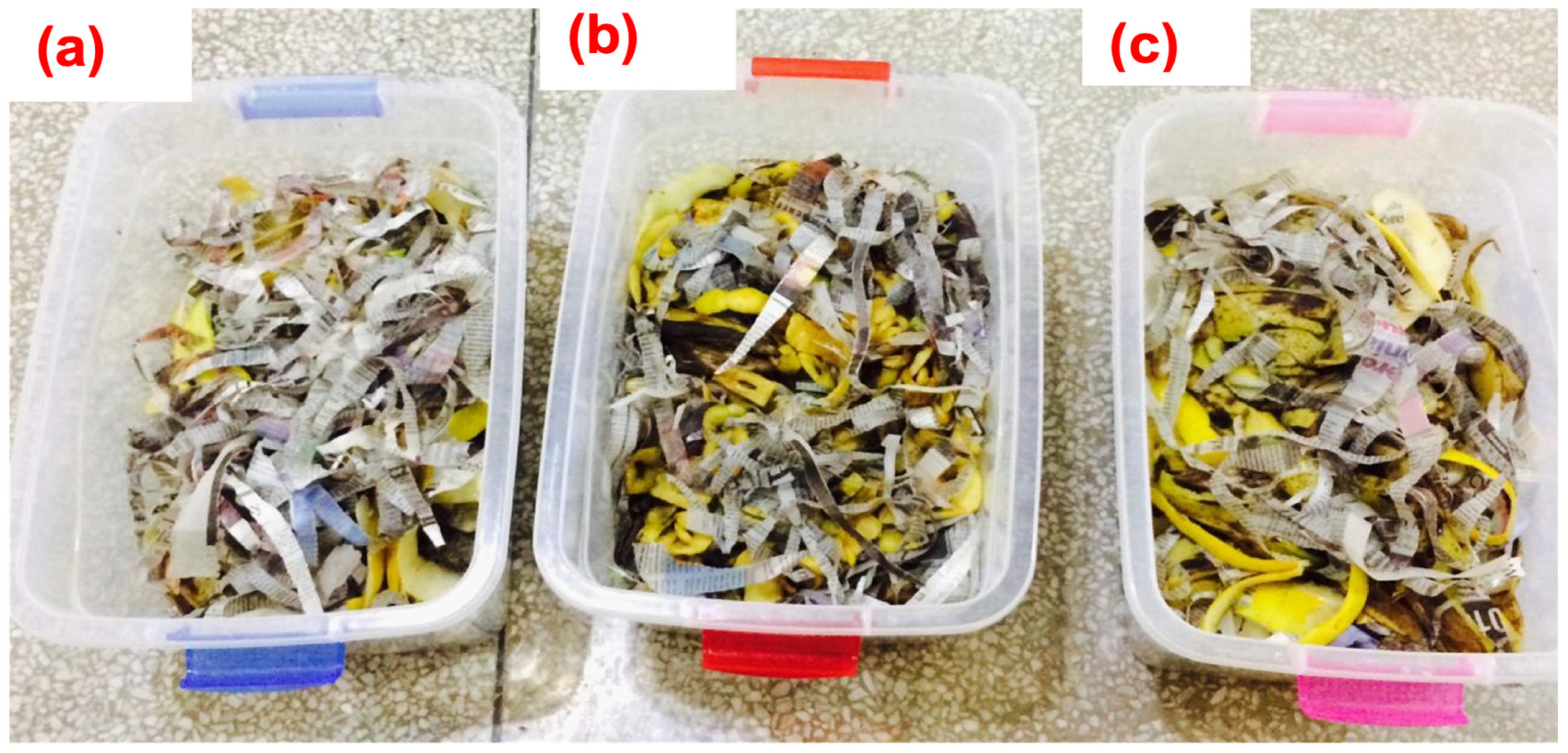 Agronomy 13 01370 g001