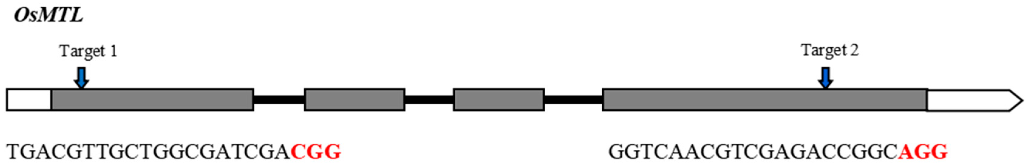 Agronomy 13 01520 g001