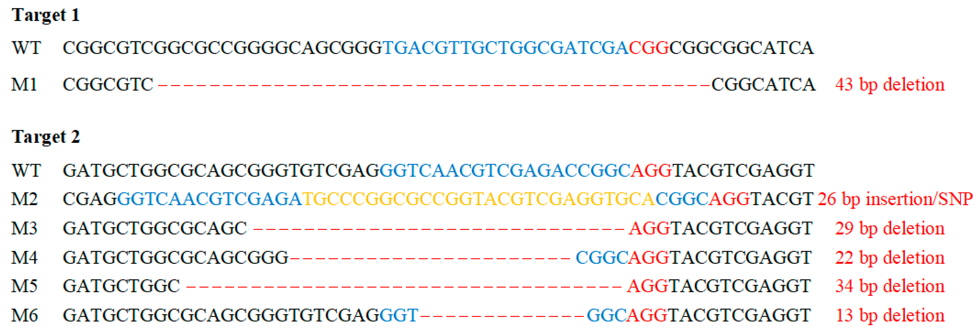 Agronomy 13 01520 g002
