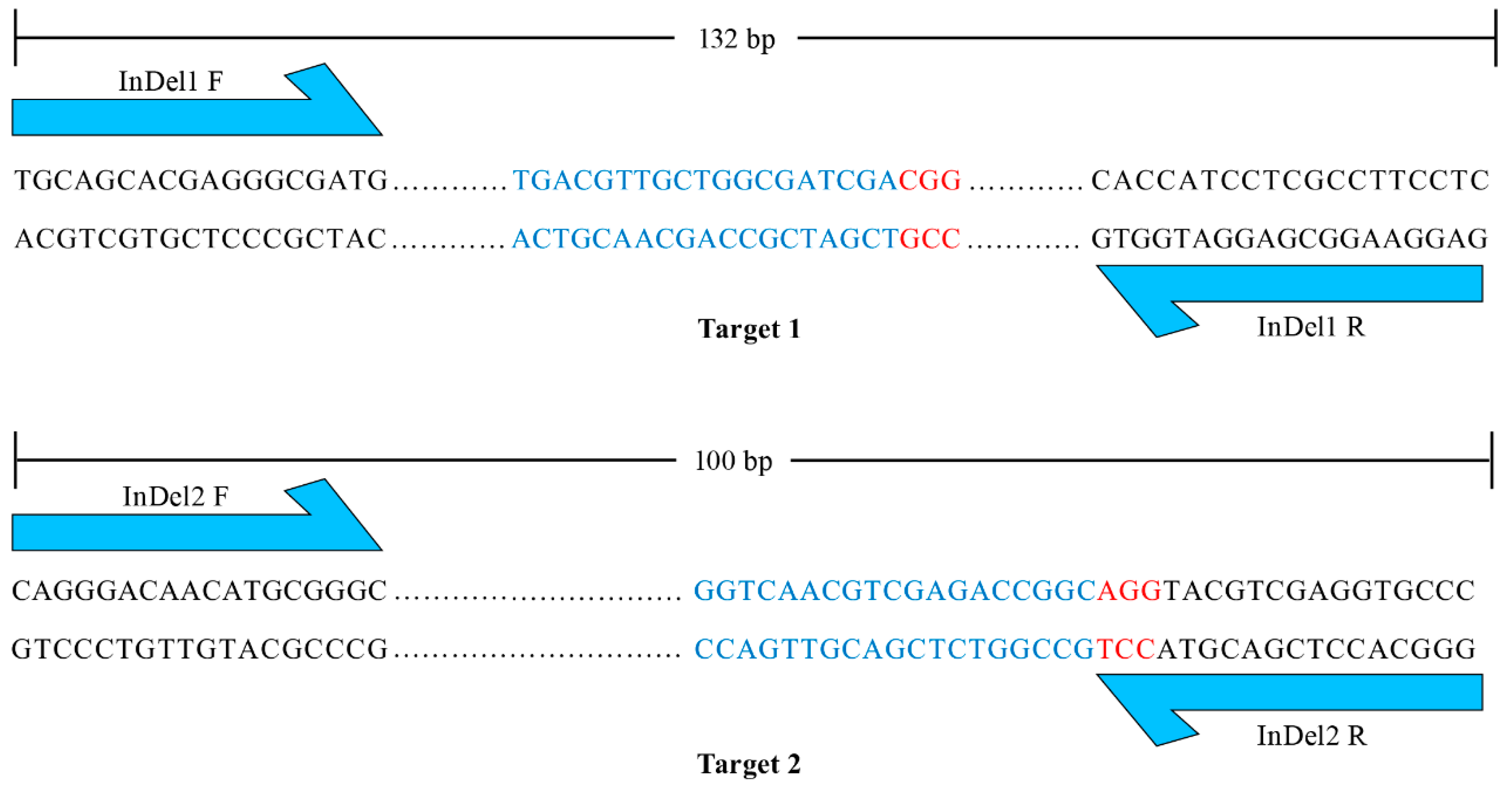 Agronomy 13 01520 g003