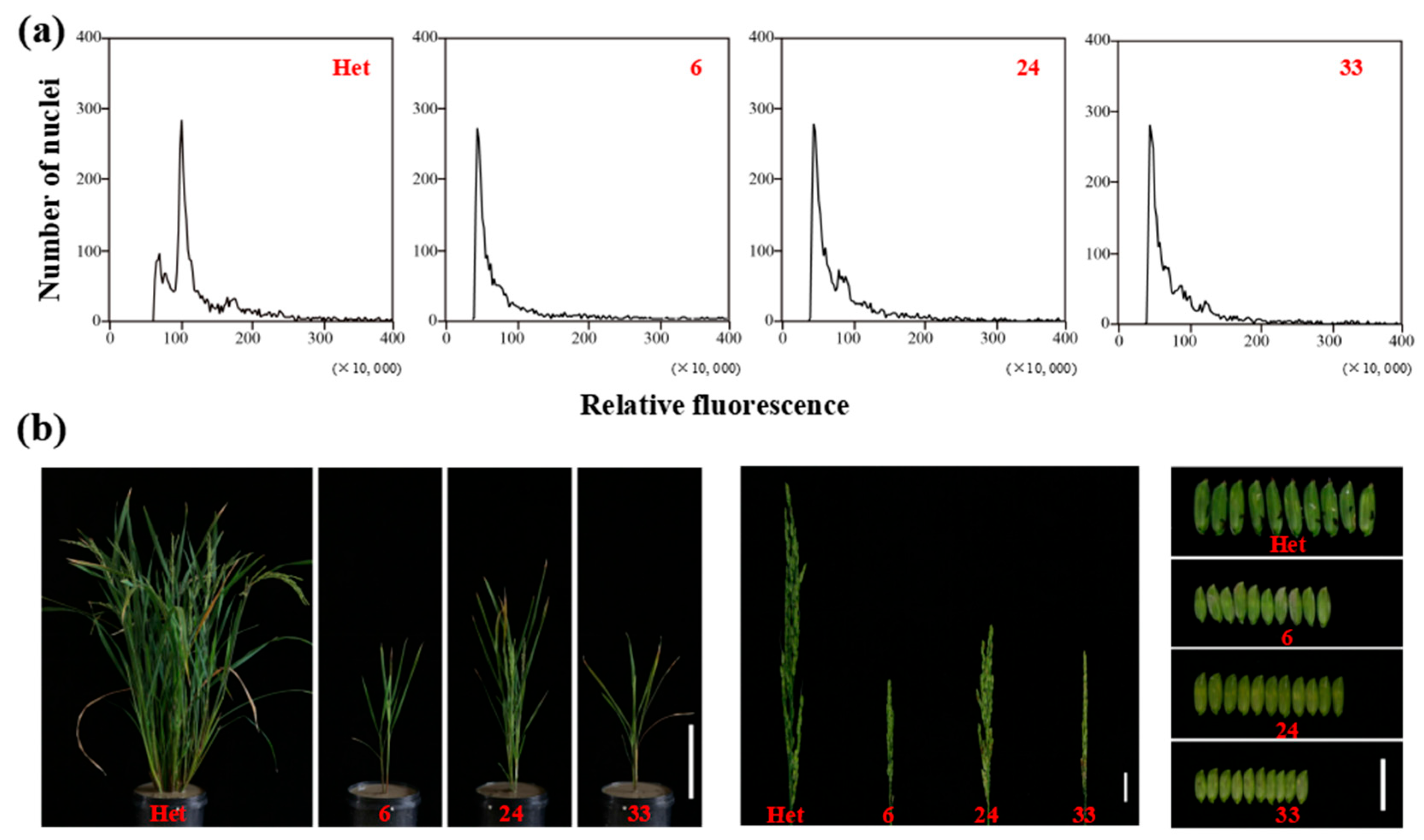 Agronomy 13 01520 g008