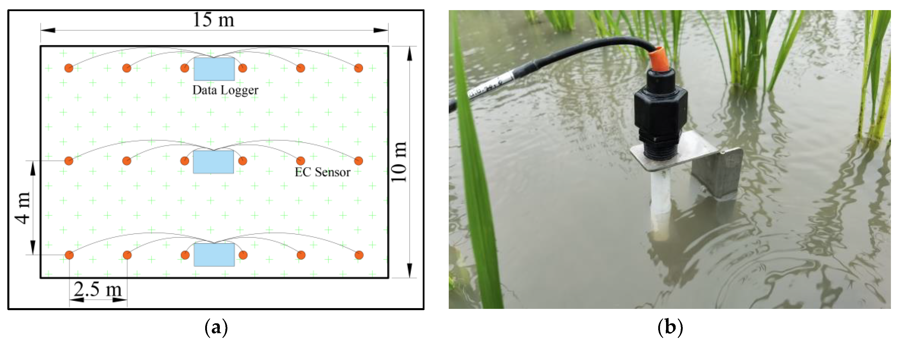Agronomy 13 01629 g003