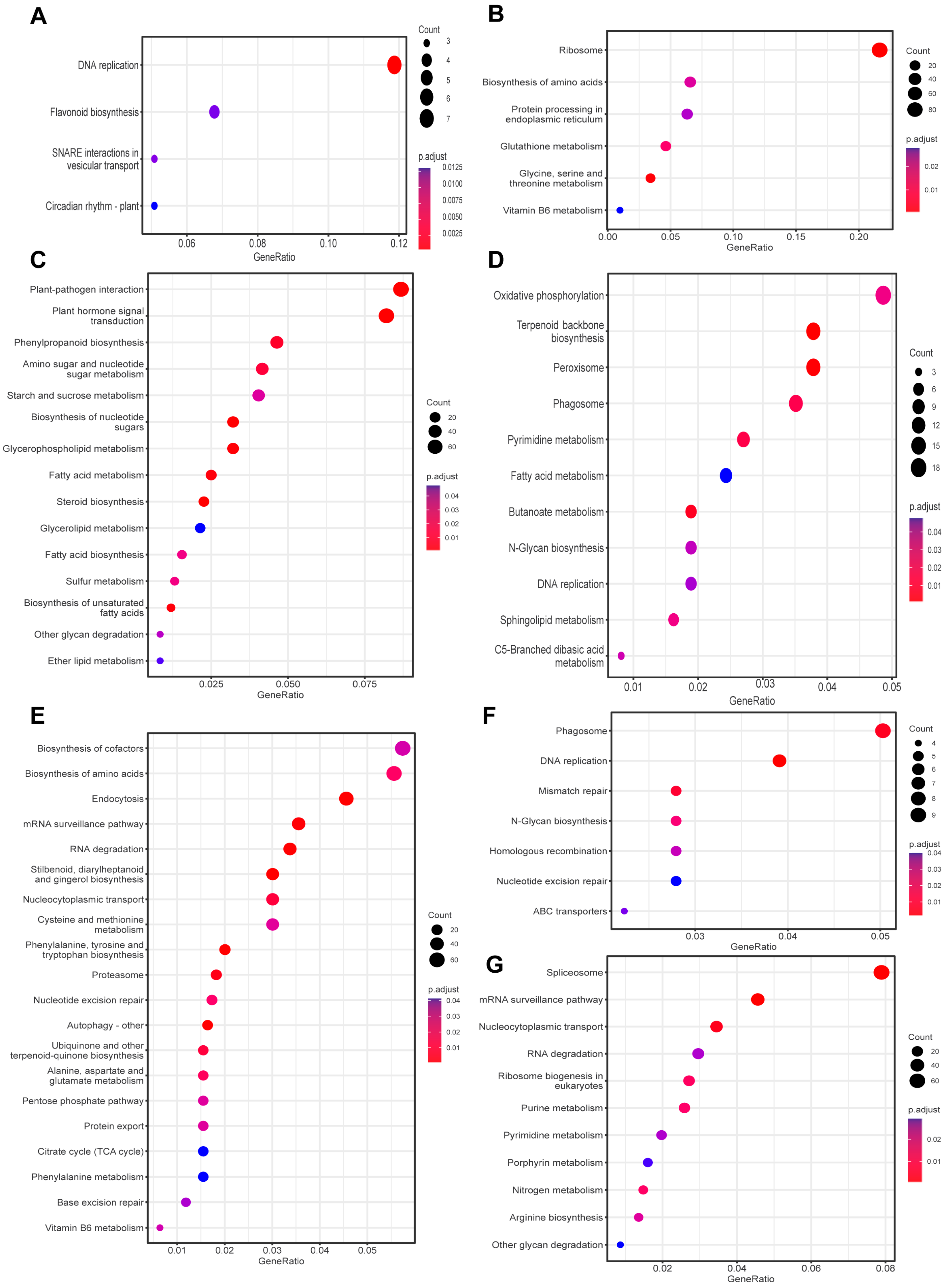 Agronomy 13 01656 g006