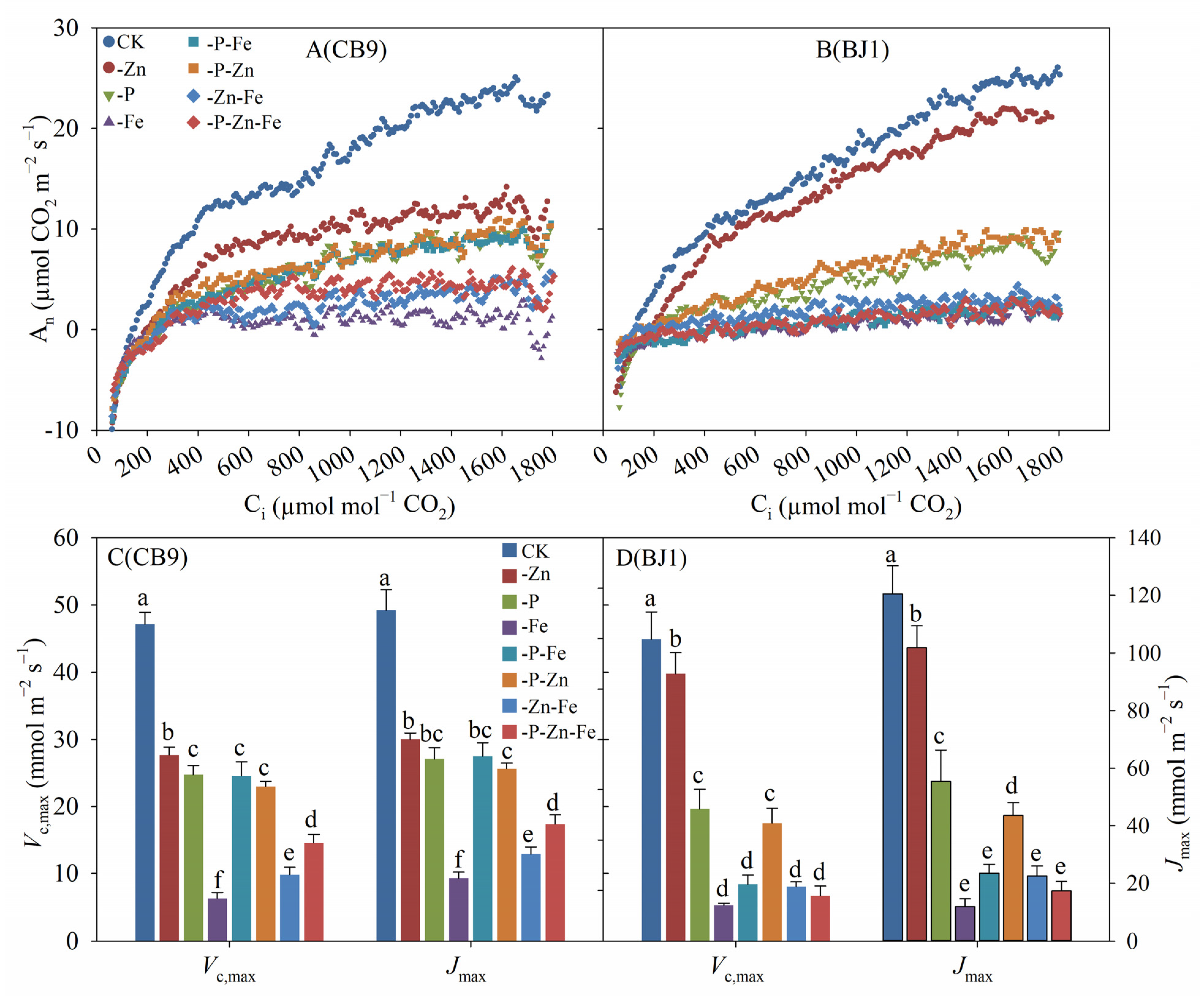 Agronomy 13 01657 g003