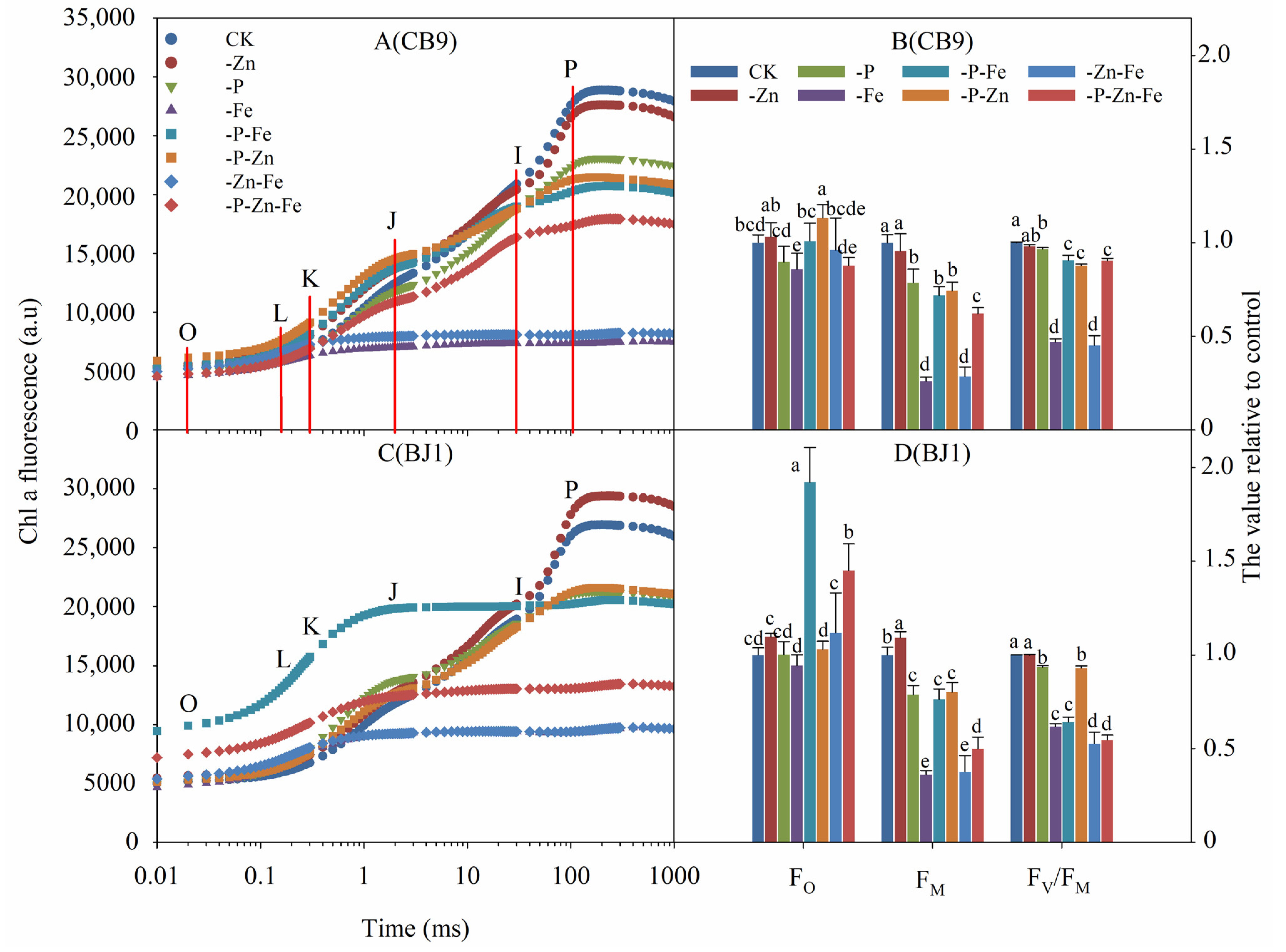 Agronomy 13 01657 g004