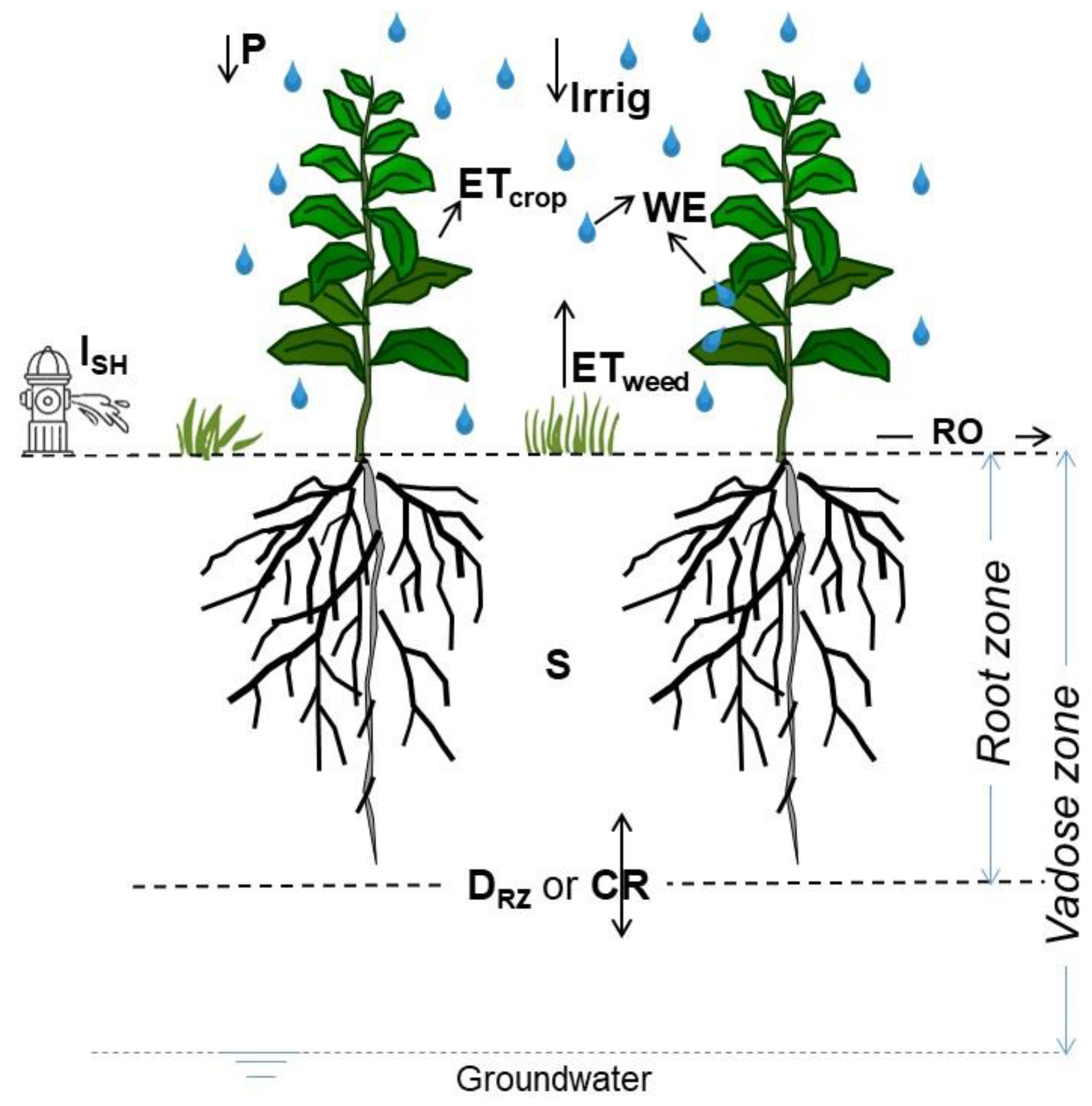 Agronomy 13 01938 g006