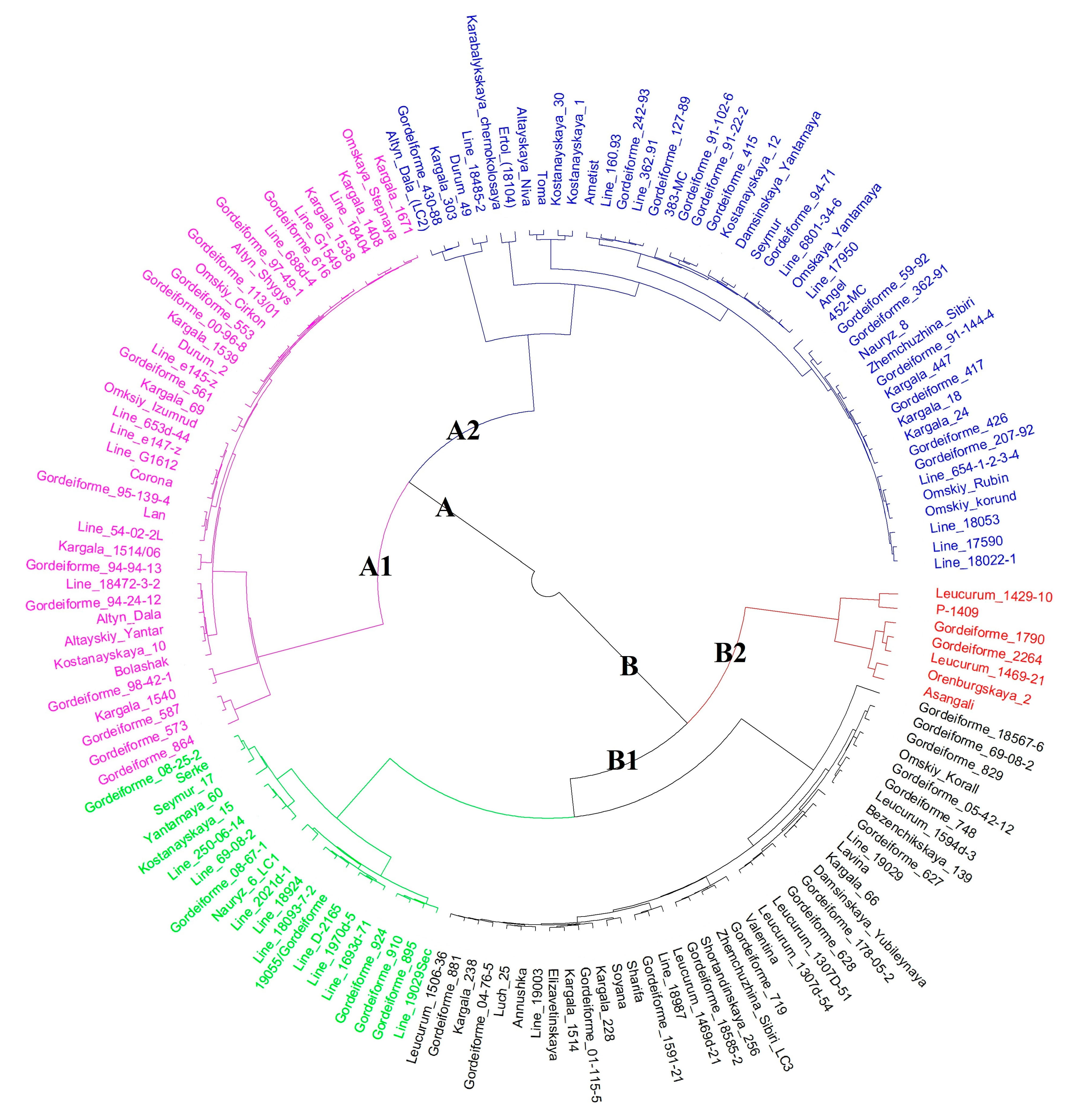 Agronomy 13 01955 g004