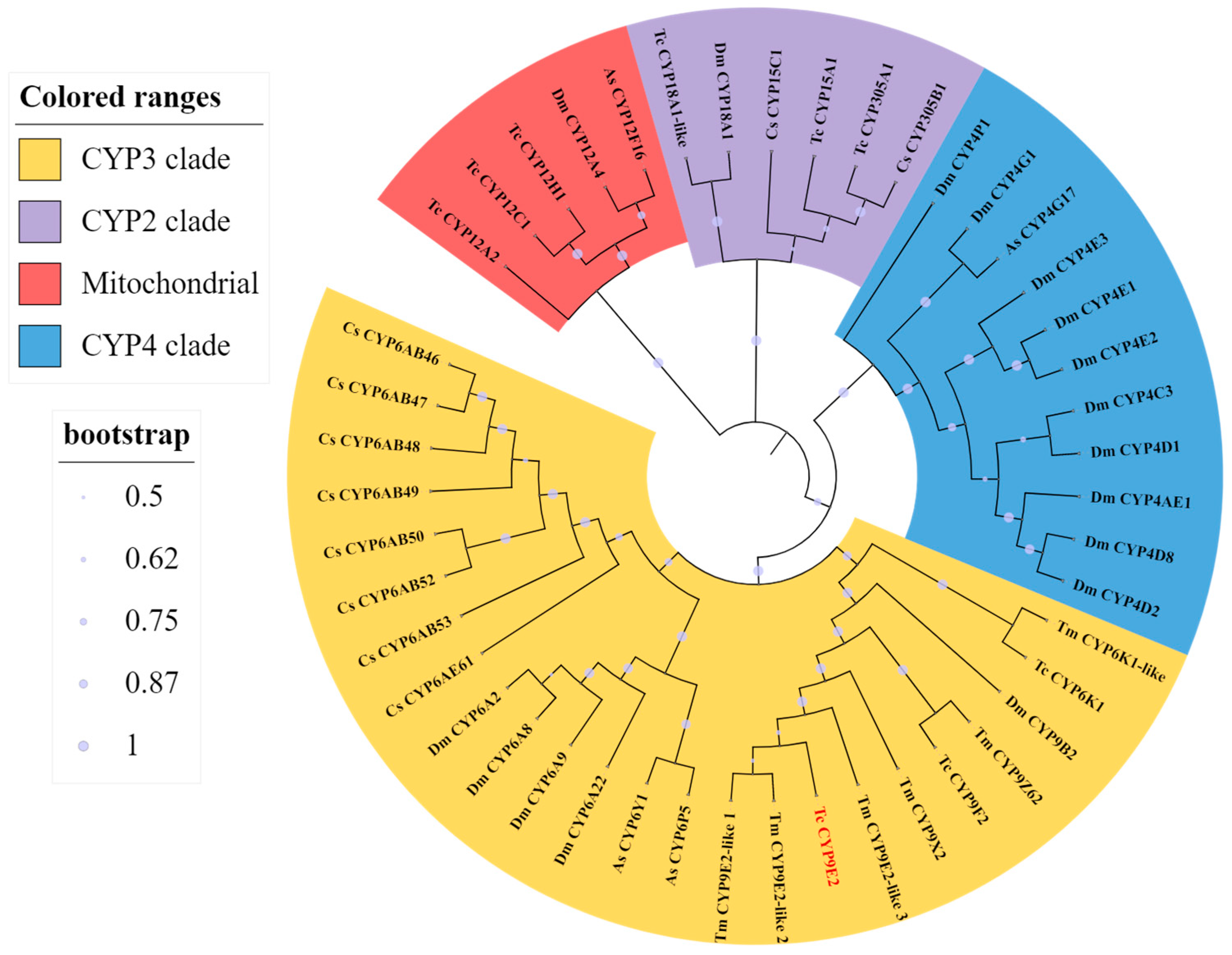 Agronomy 13 02263 g001