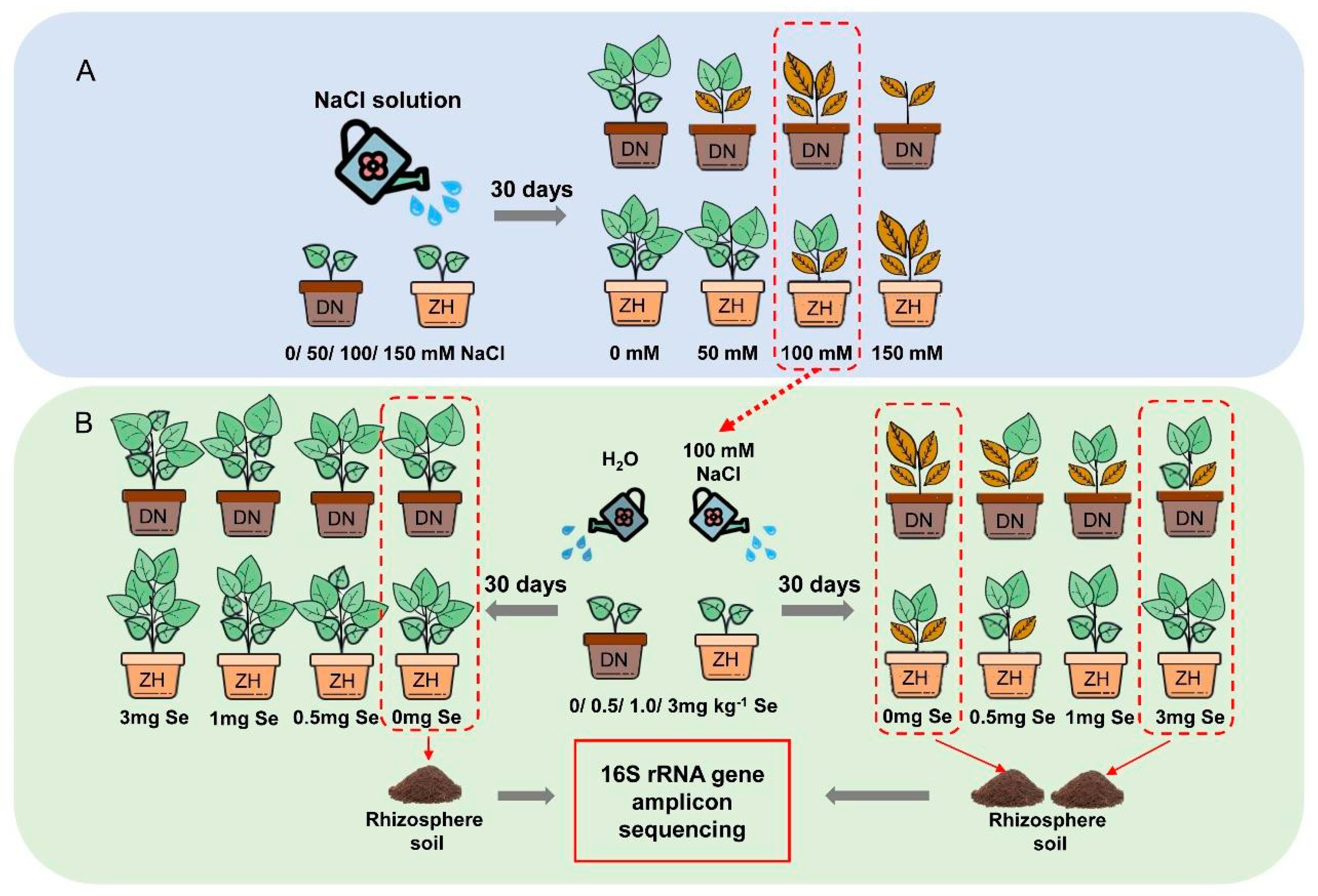 Agronomy 13 02271 g001