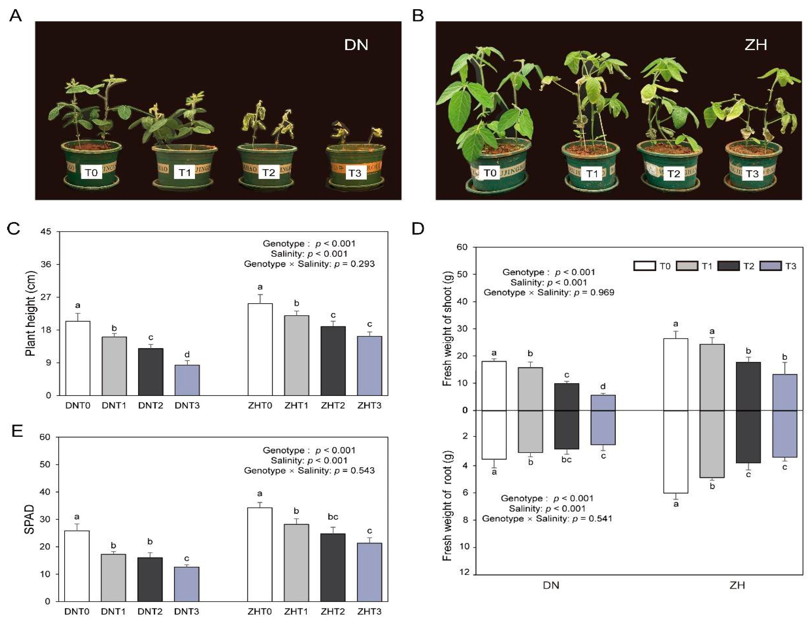 Agronomy 13 02271 g002