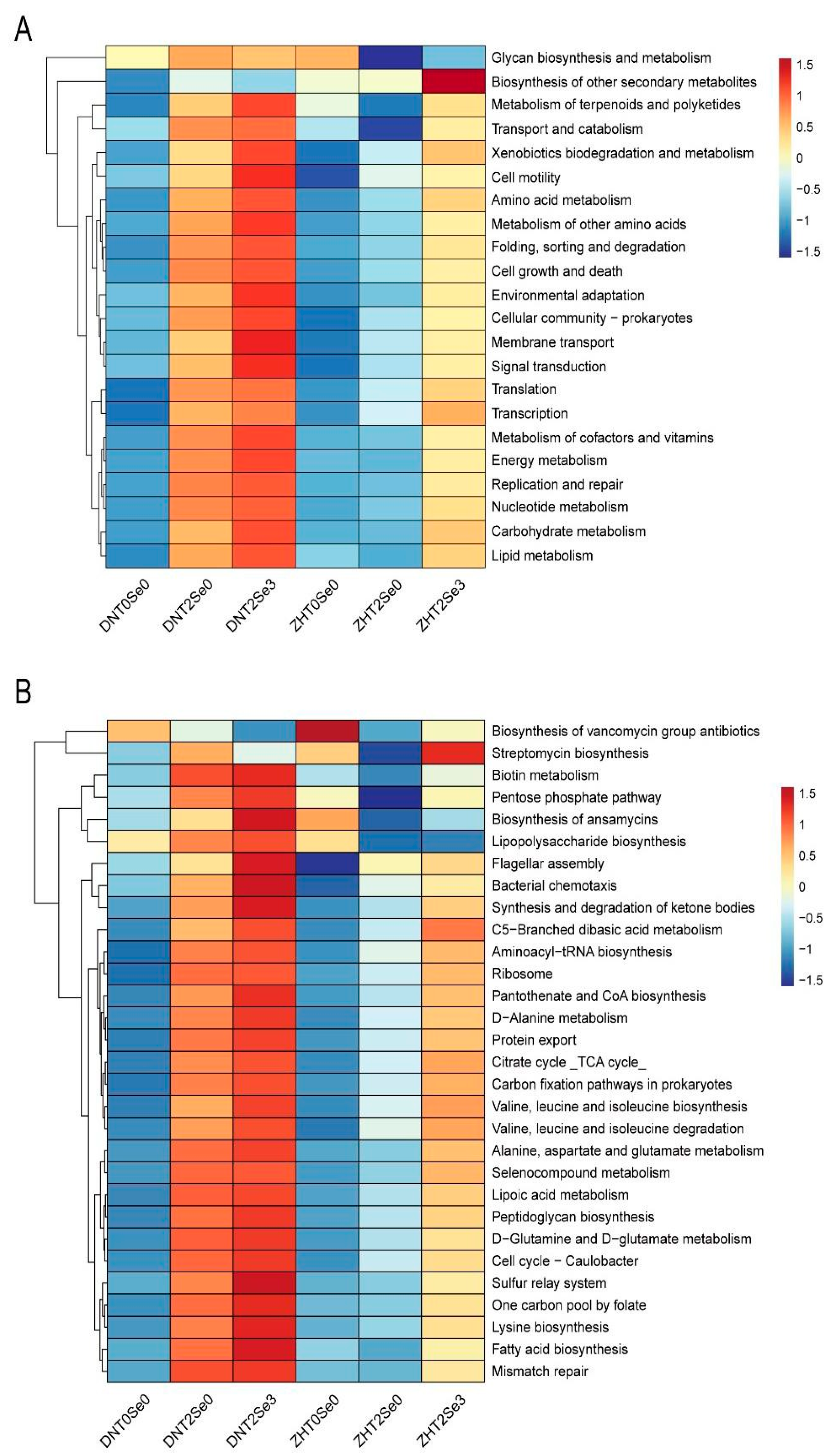 Agronomy 13 02271 g008