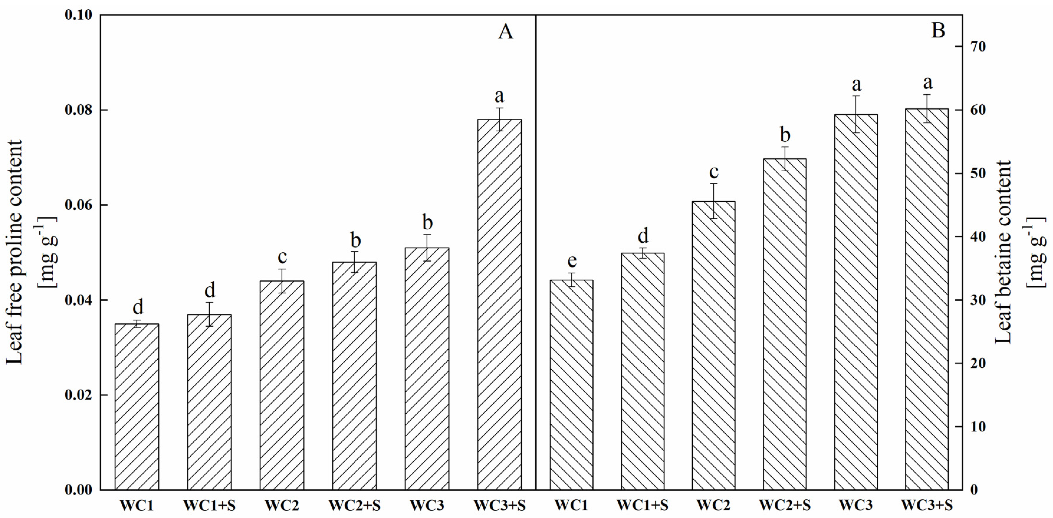 Agronomy 13 02434 g007