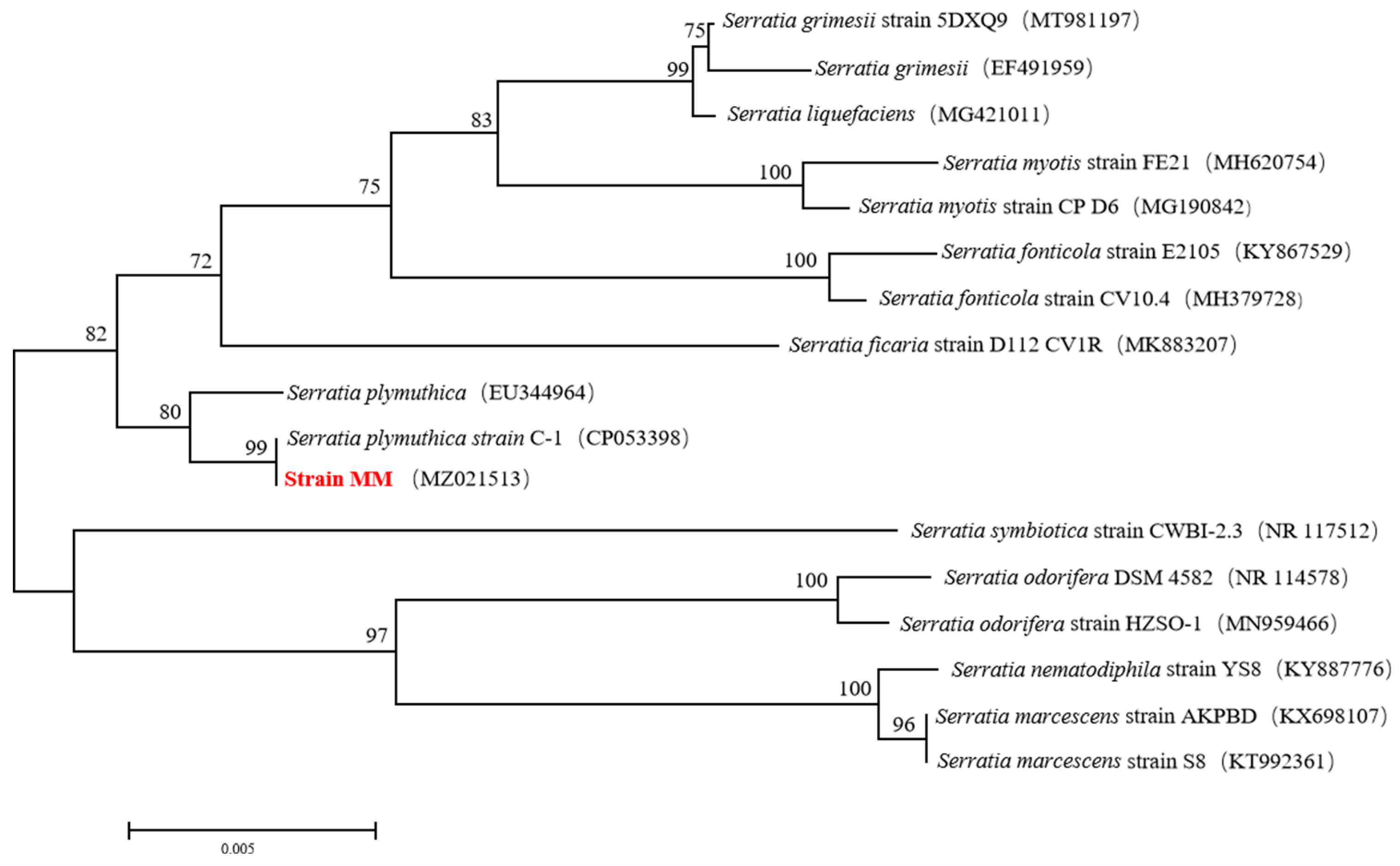 Agronomy 13 02437 g002