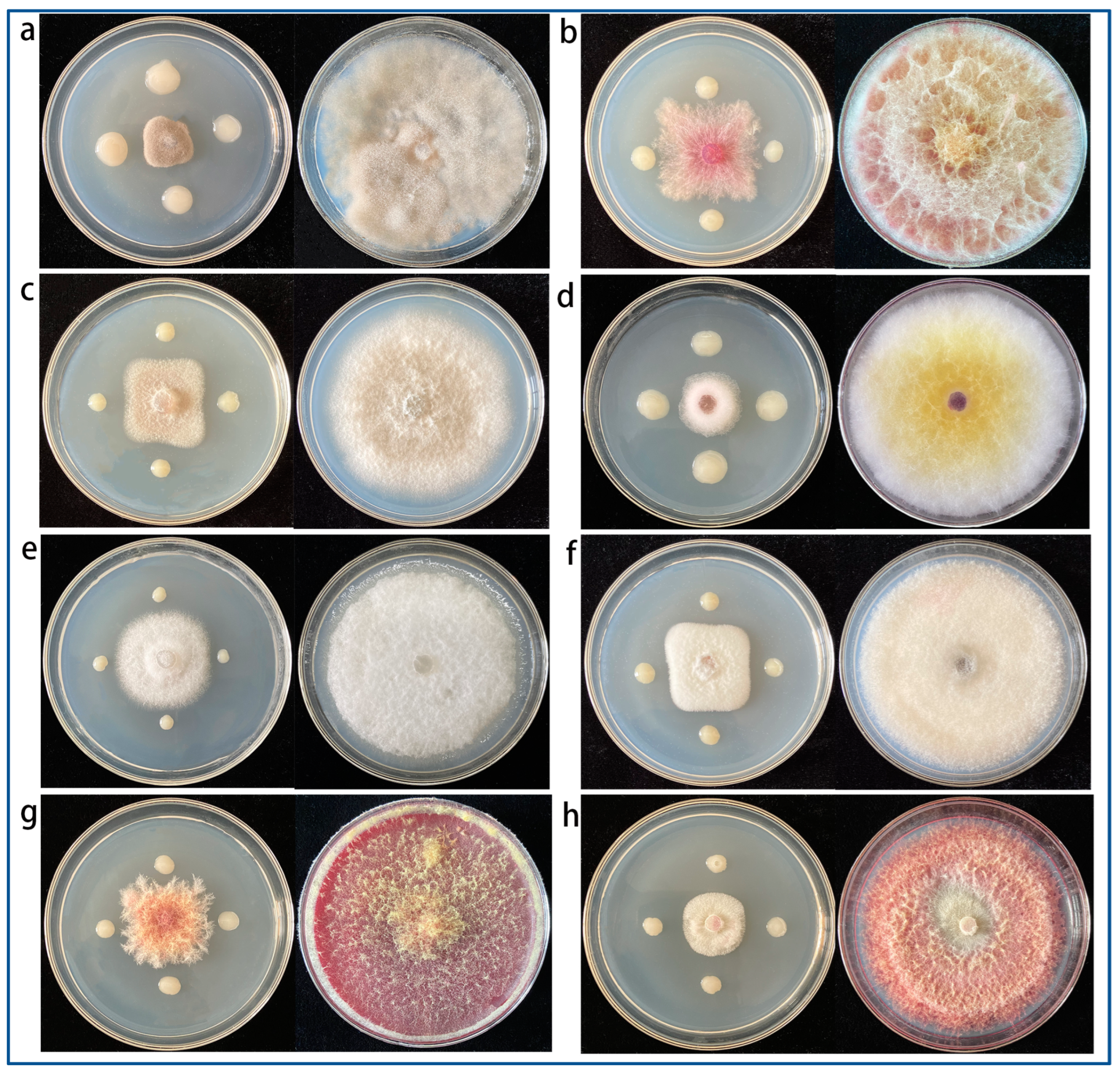 Agronomy 13 02437 g003