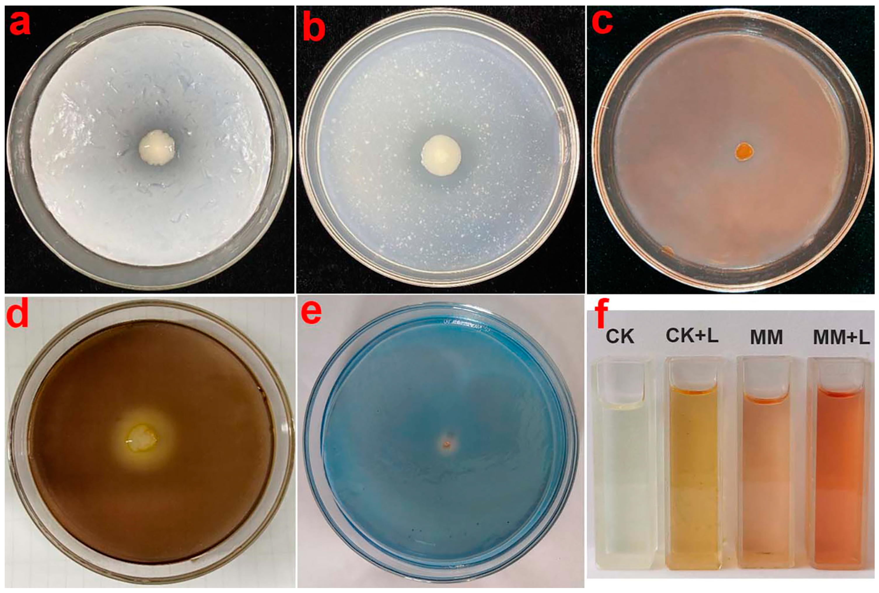 Agronomy 13 02437 g005