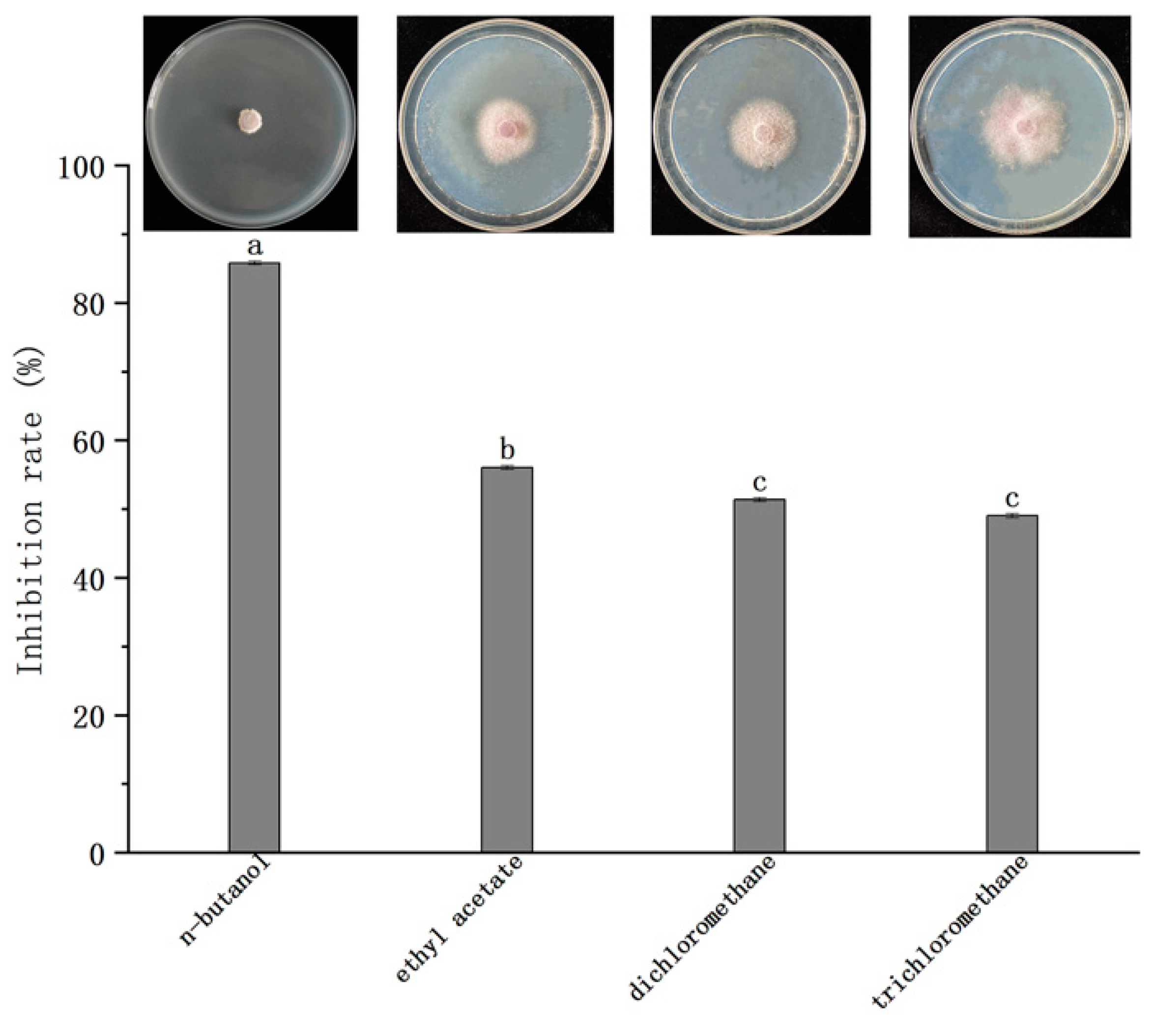 Agronomy 13 02437 g010