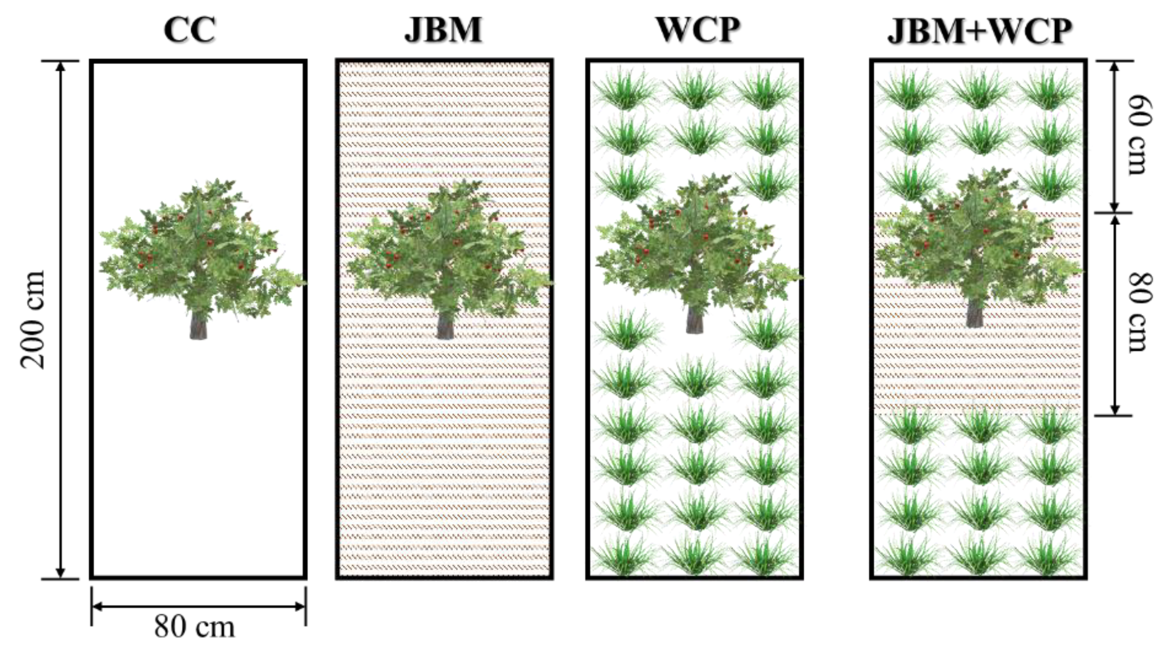 Agronomy 13 02799 g001