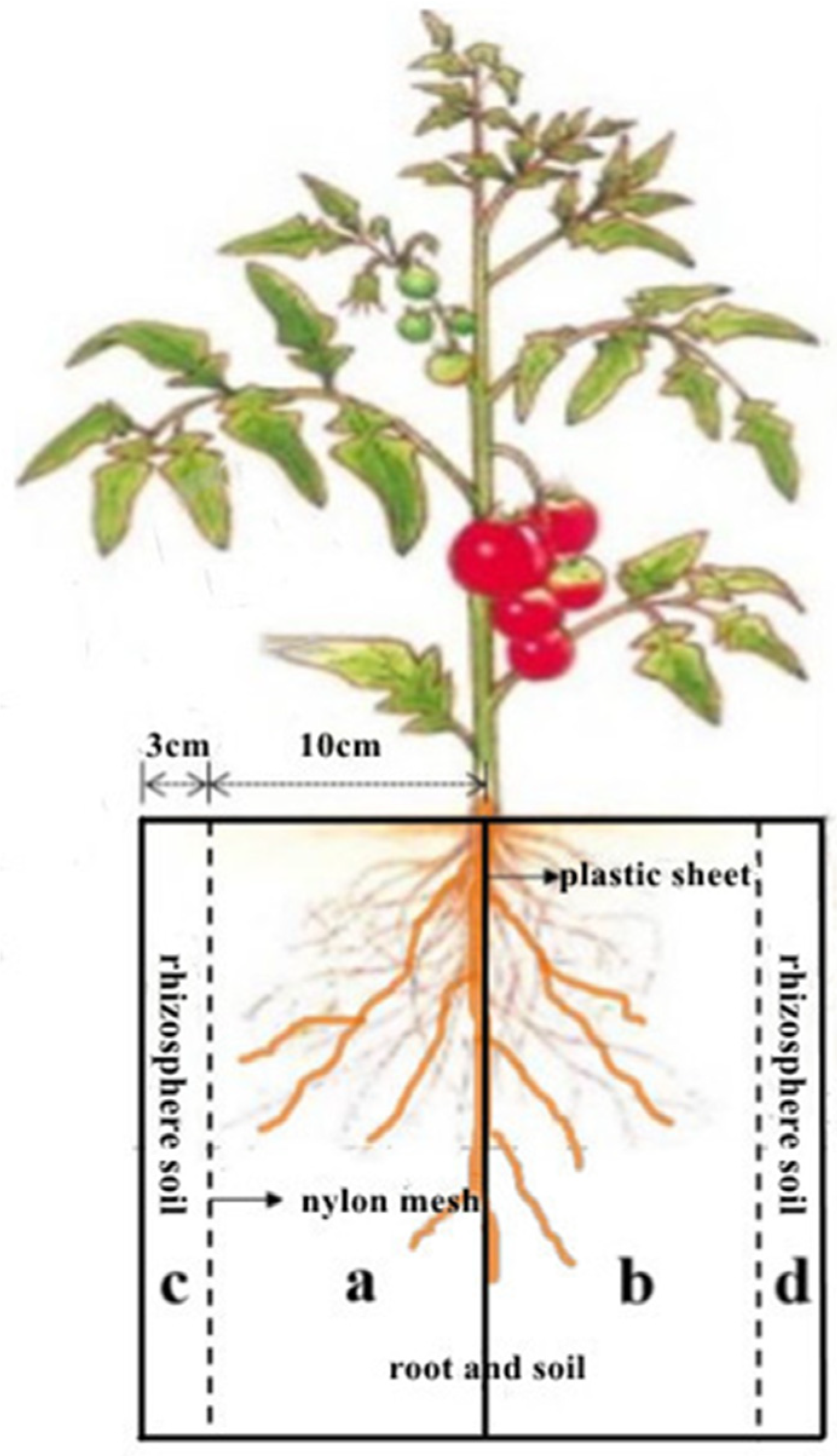 Agronomy 13 03069 g002