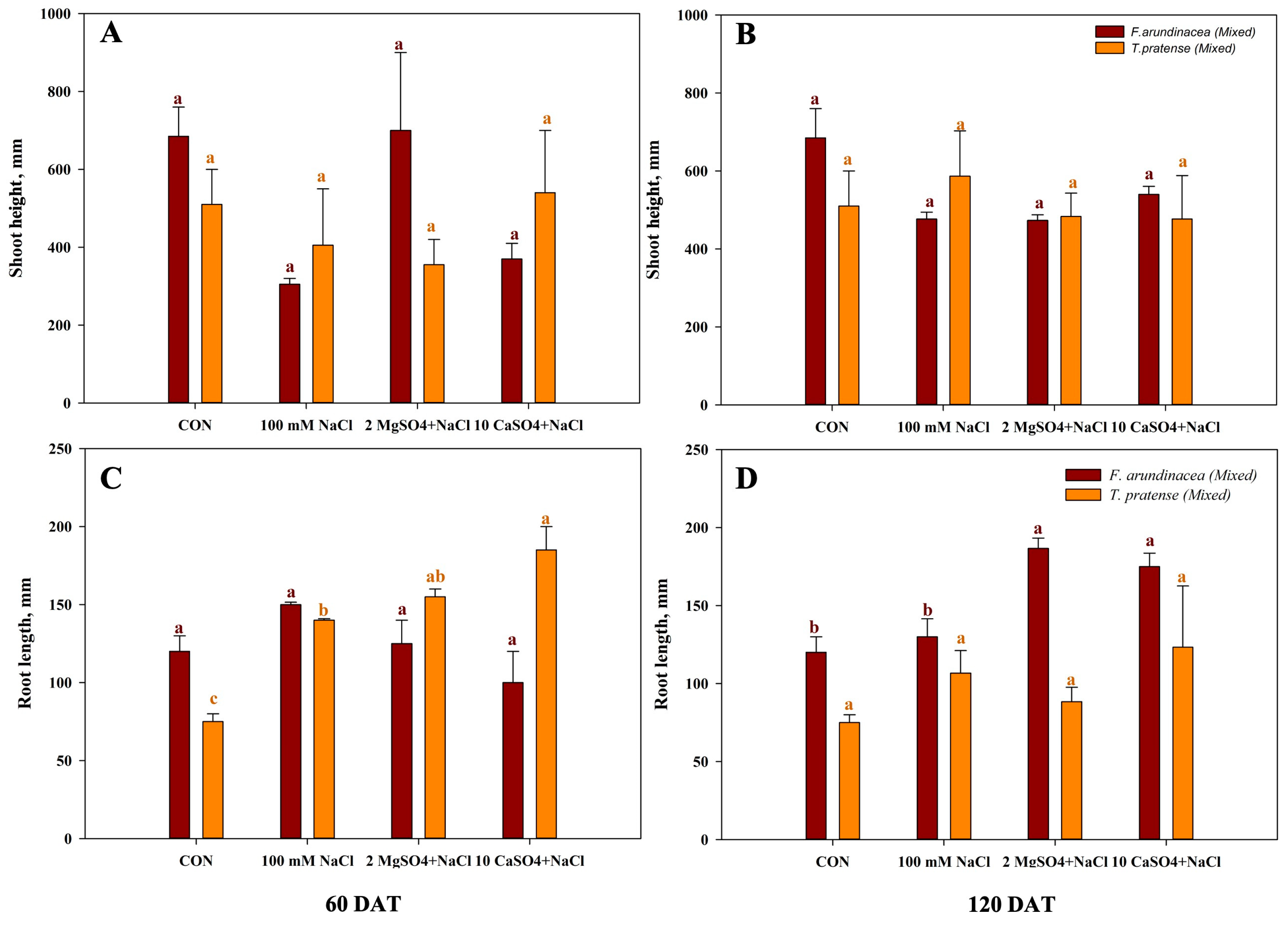 Agronomy 14 00287 g002