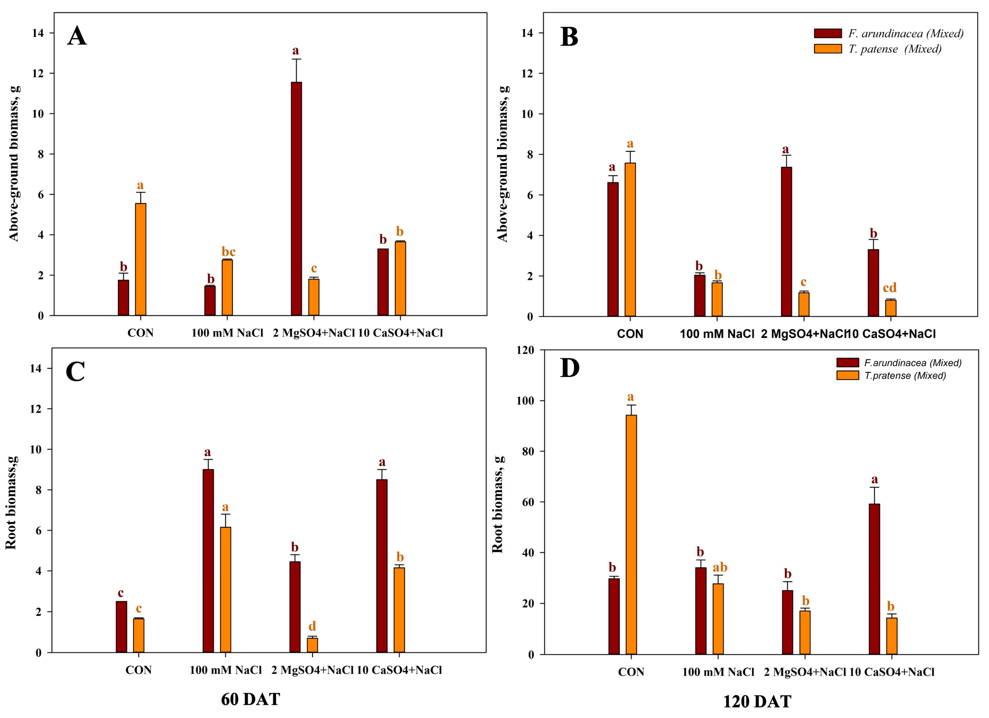 Agronomy 14 00287 g004