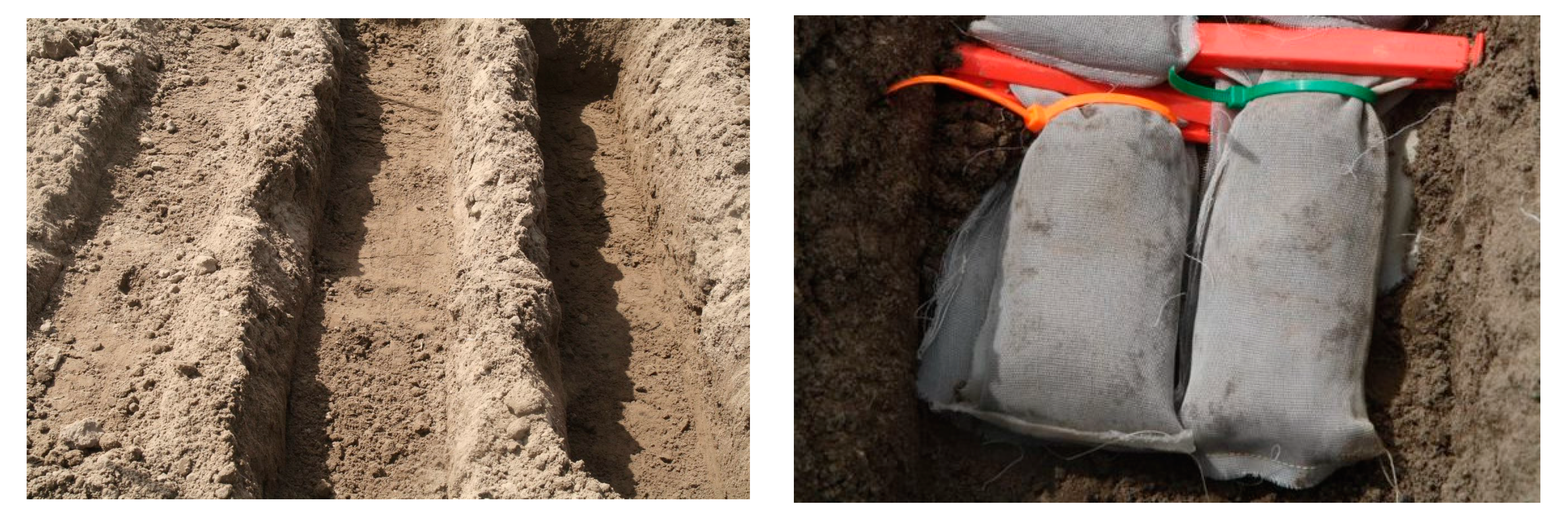 Agronomy 14 00918 g003