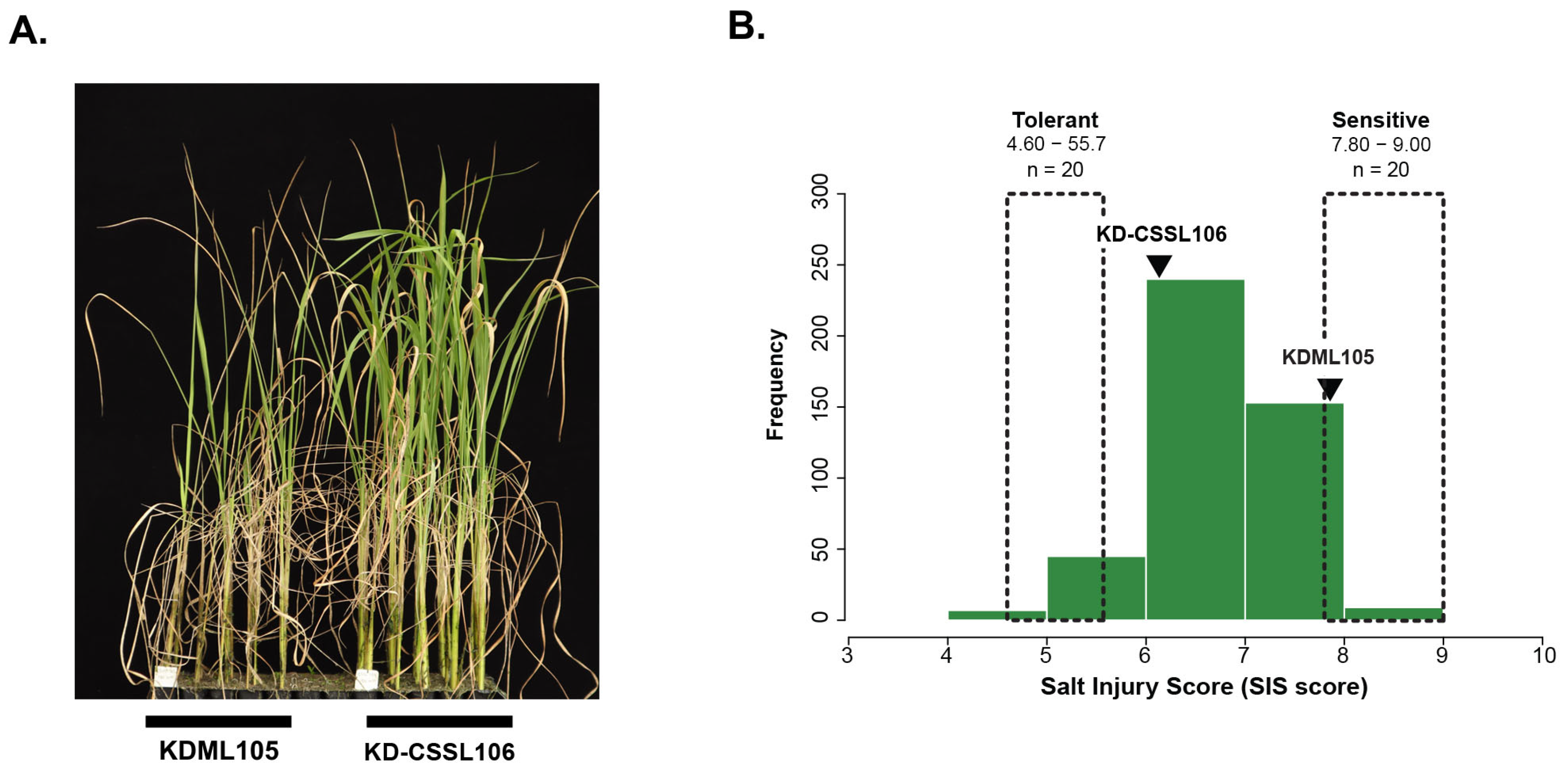 Agronomy 14 00929 g001