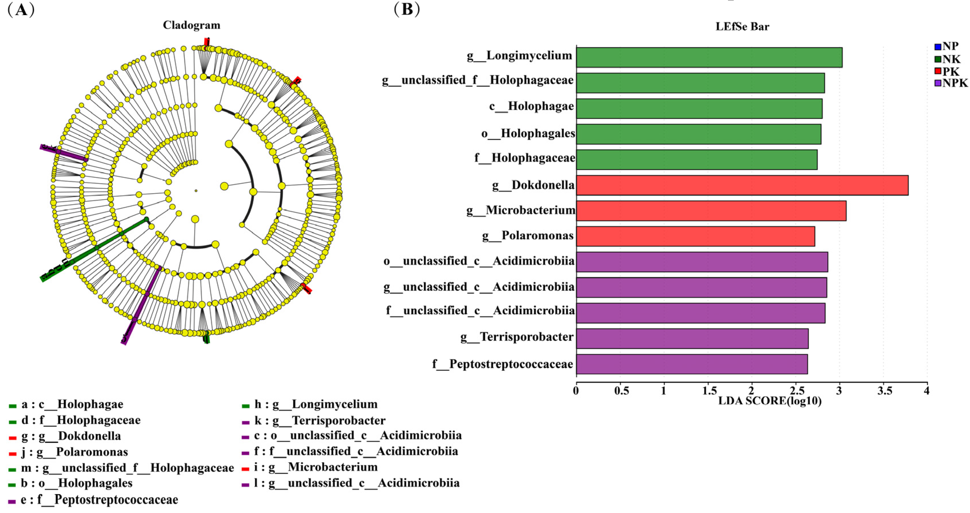 Agronomy 14 00965 g003