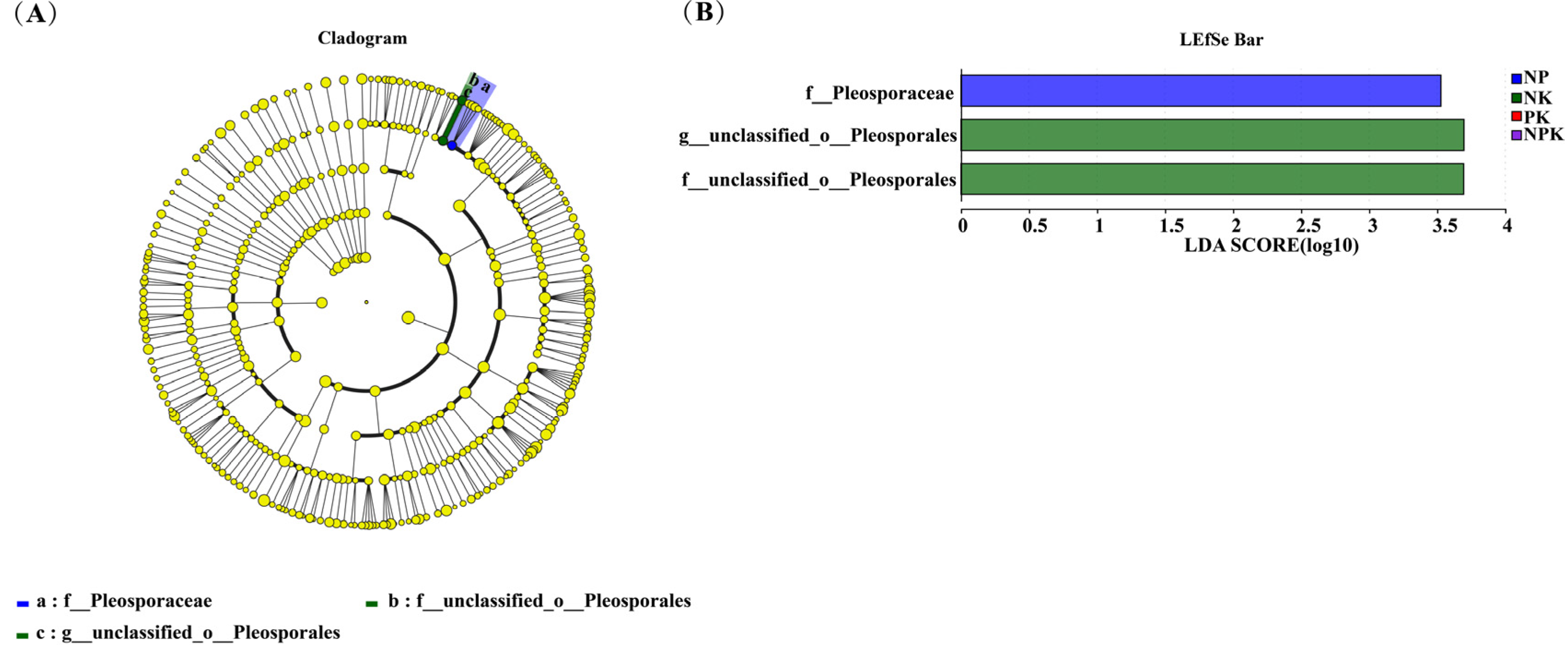 Agronomy 14 00965 g007
