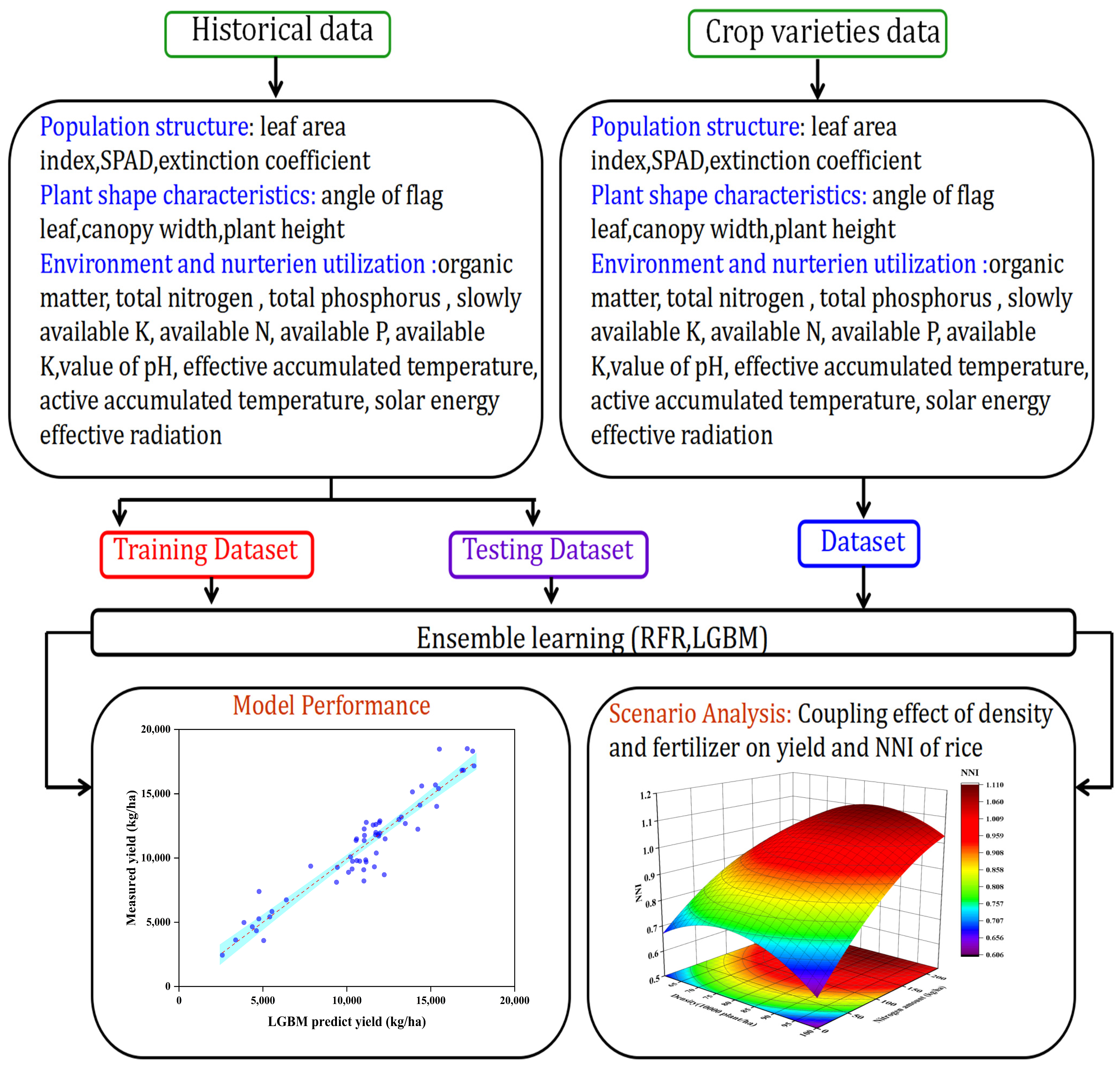 Agronomy 14 01028 g001