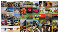 Algorithms 05 00001 g001 200