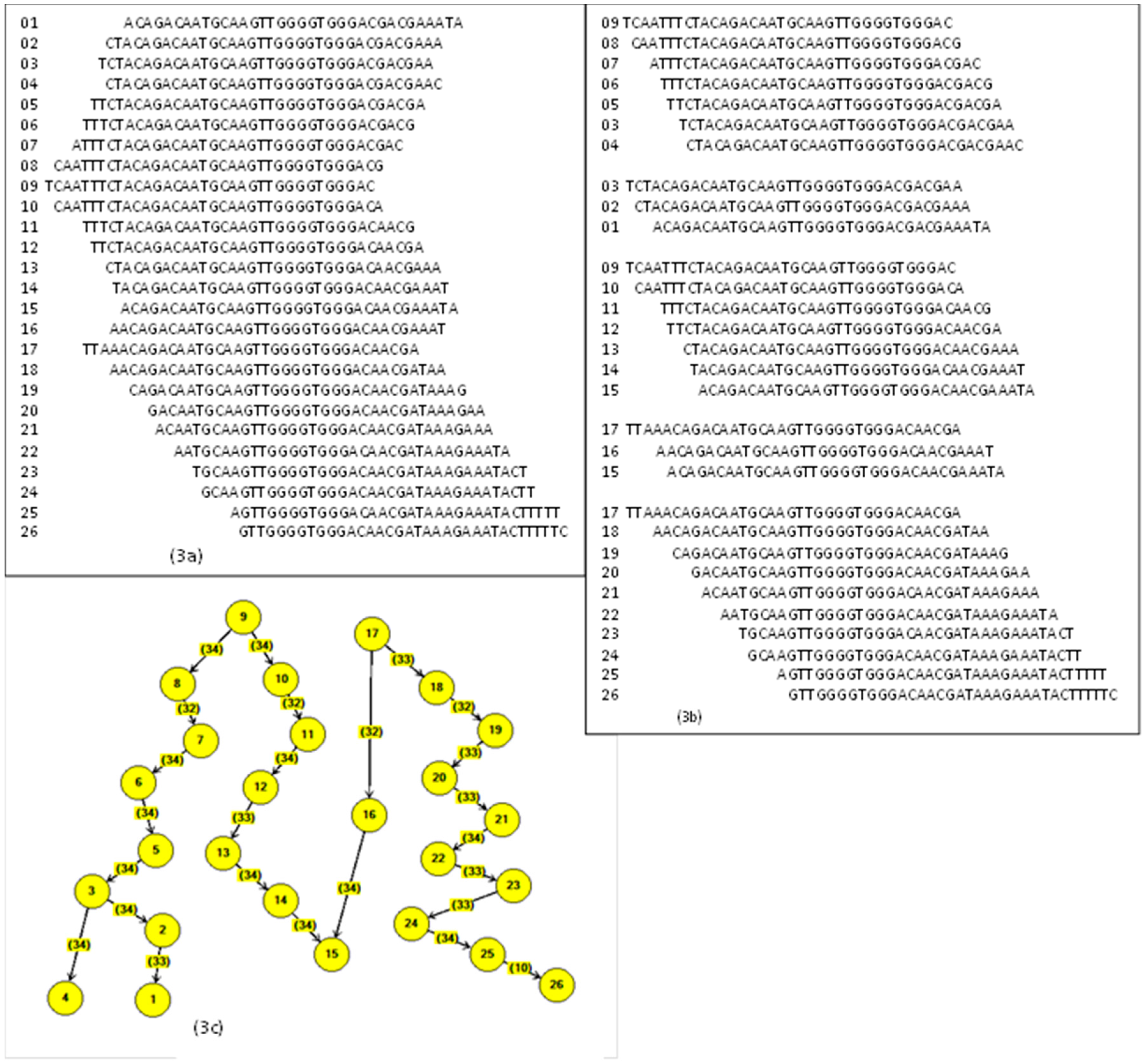 Algorithms 10 00036 g003