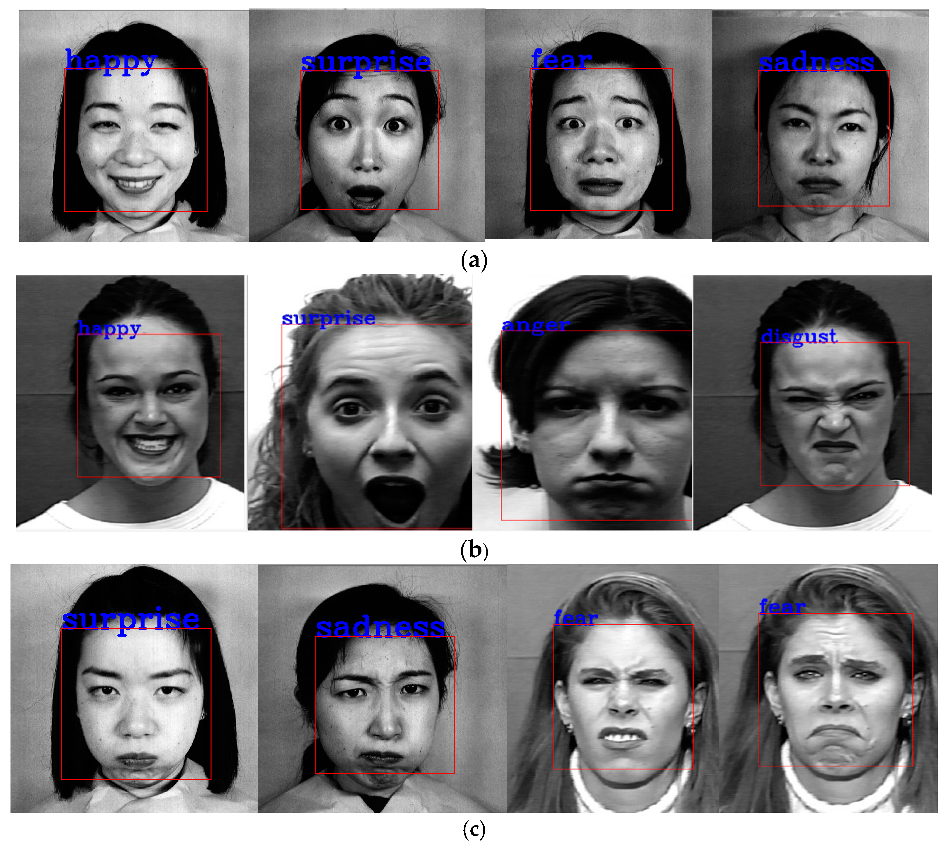 Algorithms 10 00070 g010