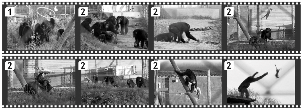 Animals 02 00363 g002 1024