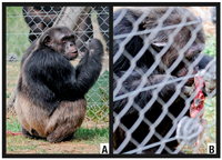 Animals 02 00363 g005 200