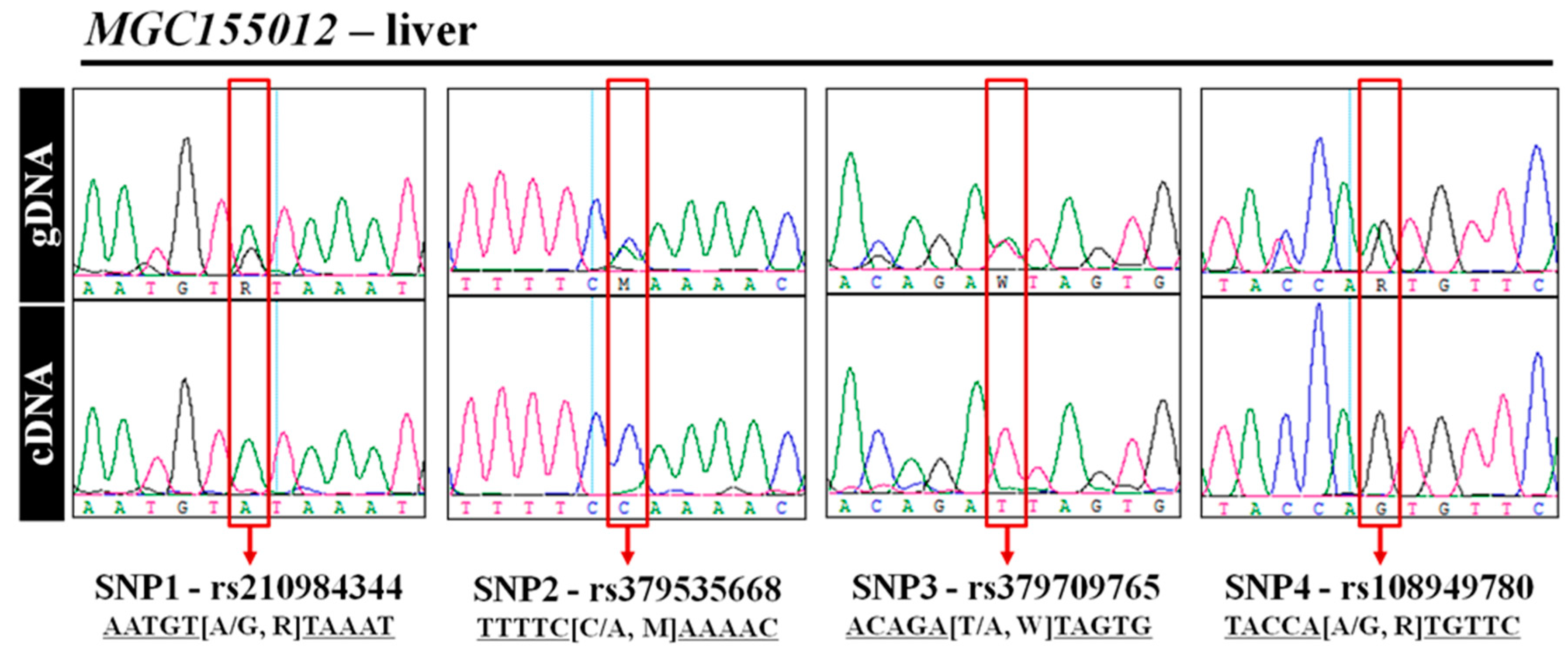 Animals 09 00727 g003