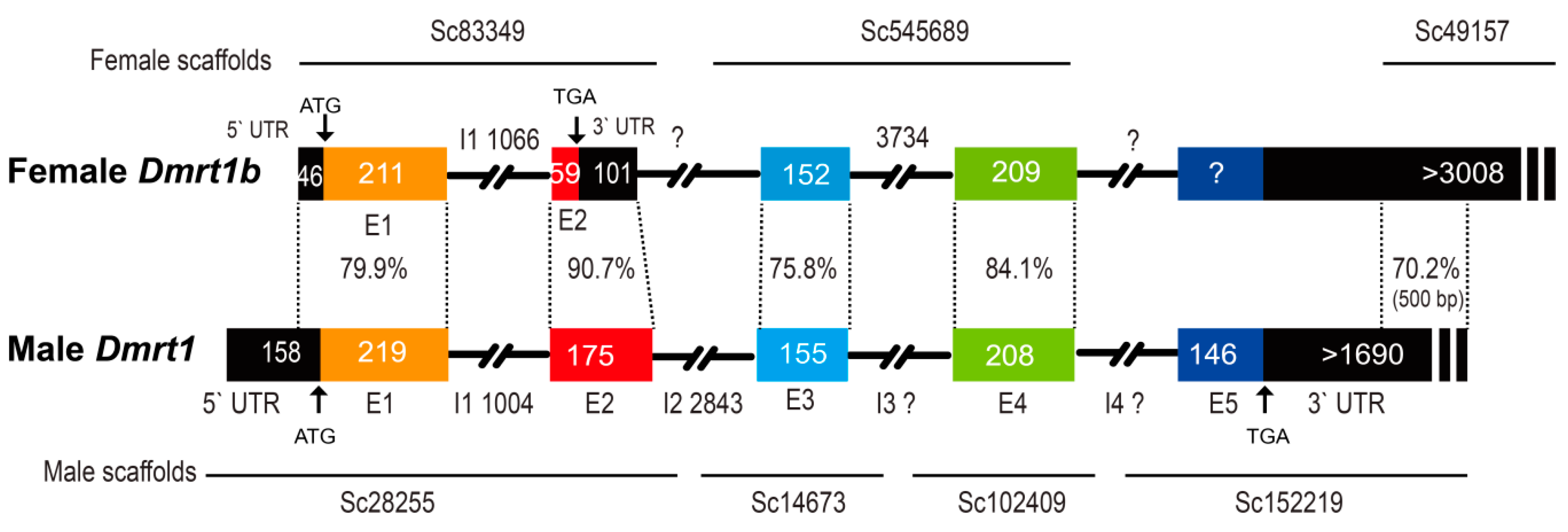 Animals 09 01117 g003