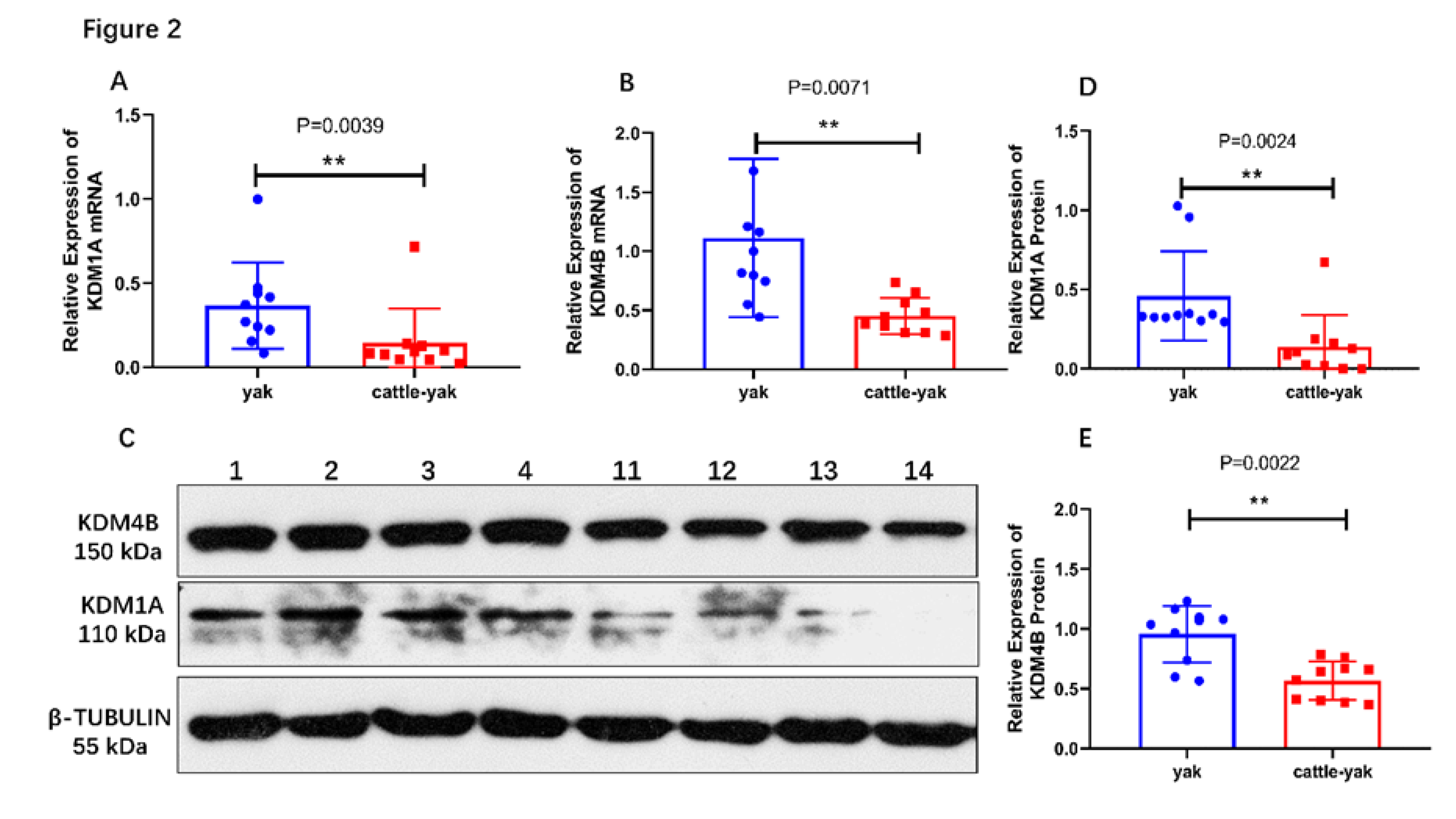 Animals 10 00521 g002