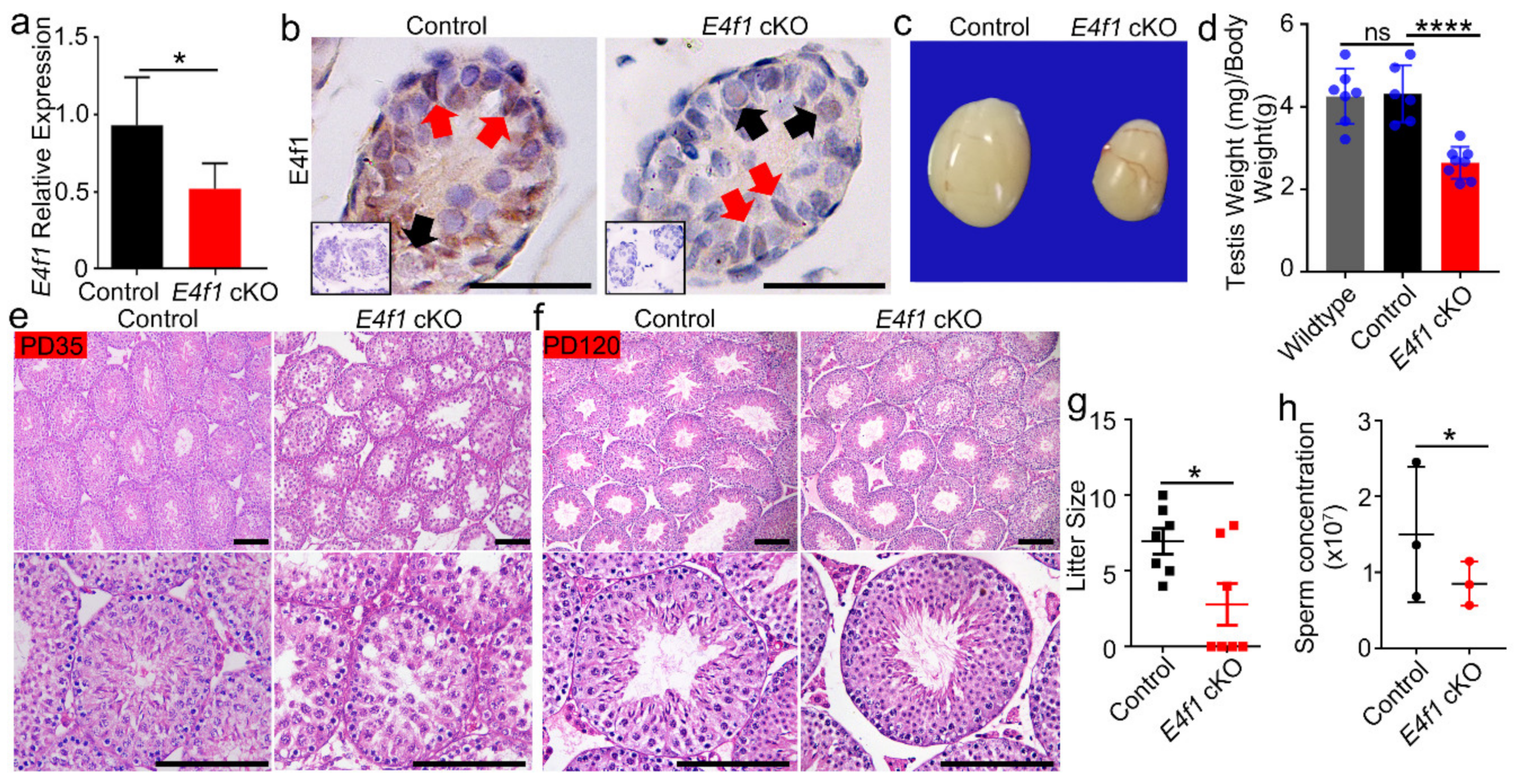 Animals 10 01691 g002