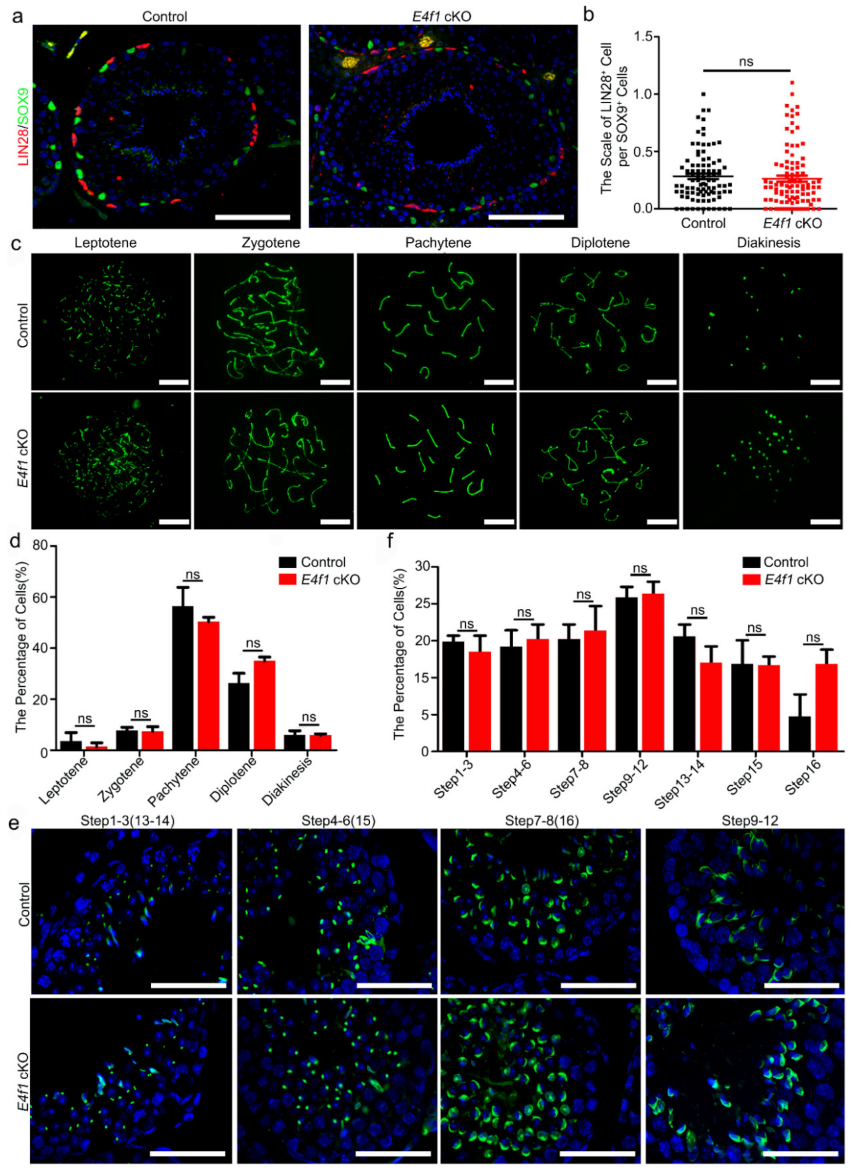 Animals 10 01691 g003
