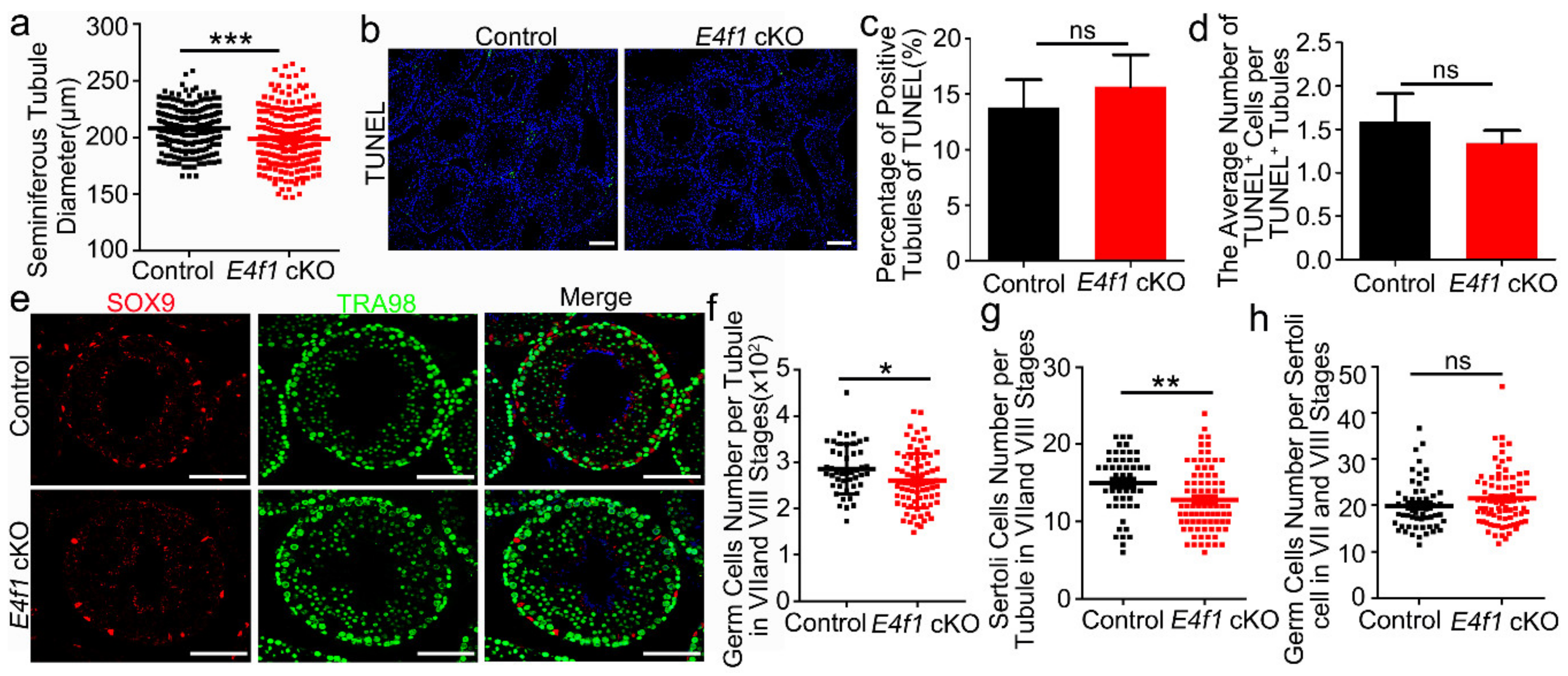 Animals 10 01691 g004