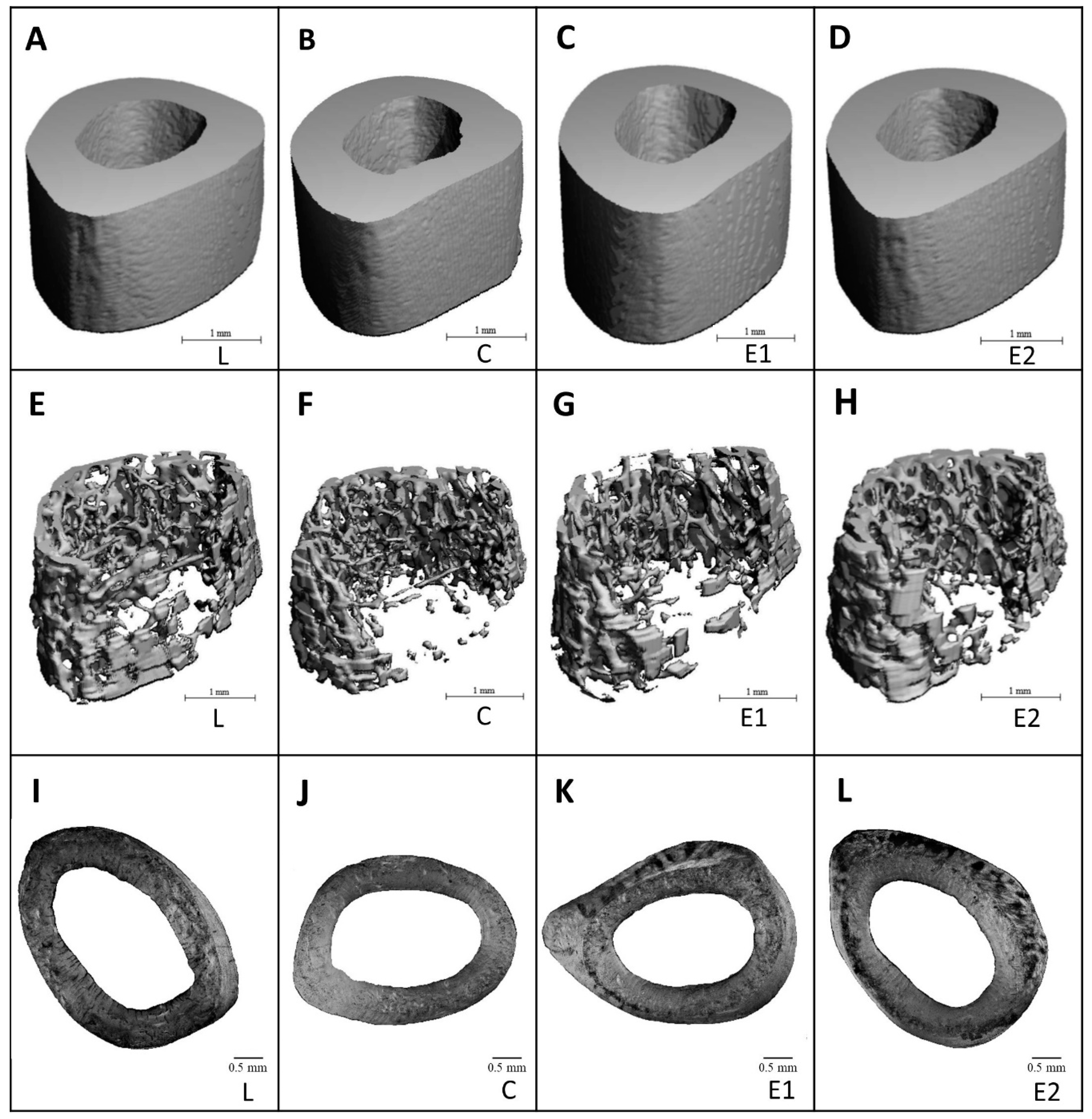 Animals 10 02435 g004 Animals 10 02435 g004