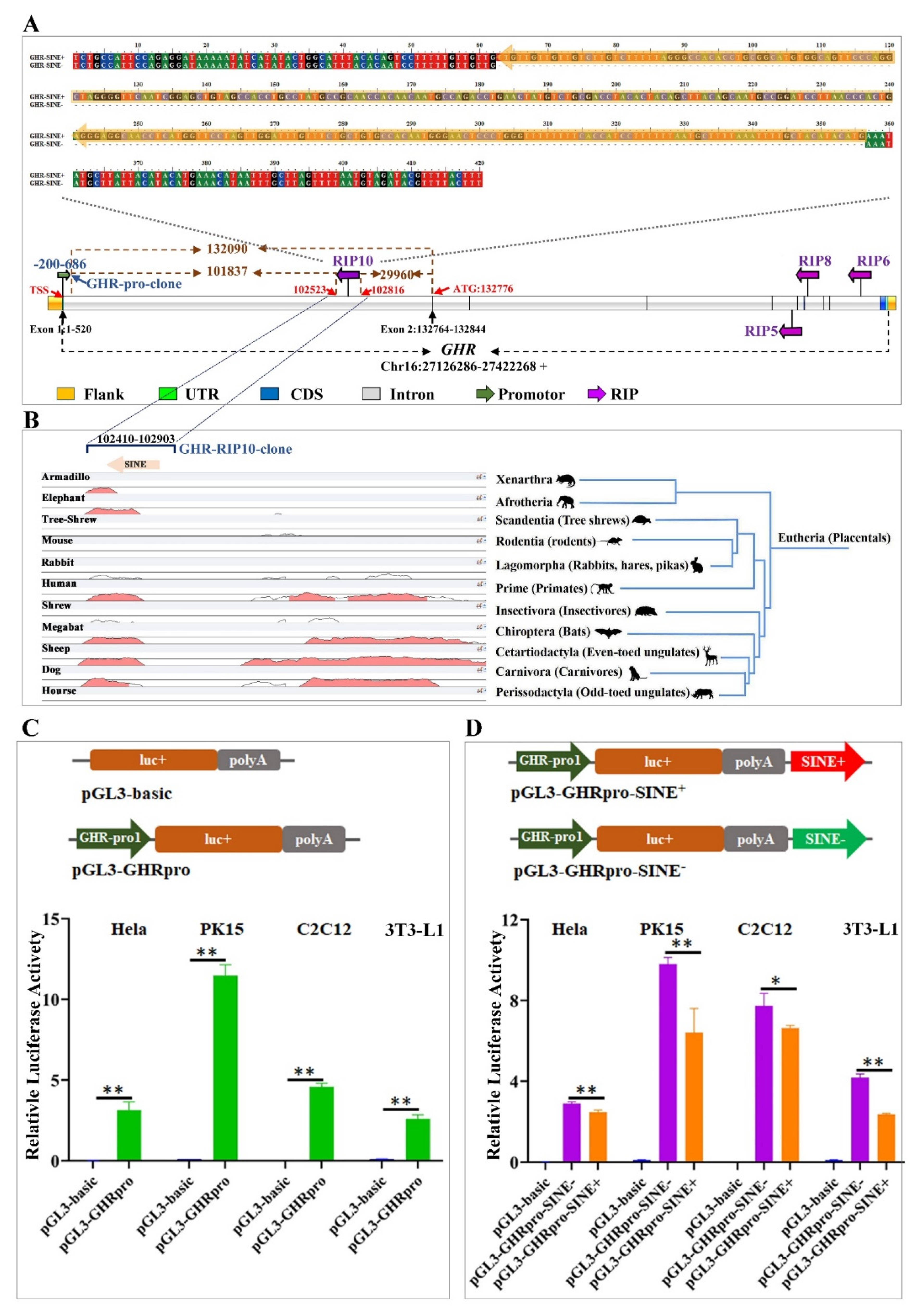 Animals 11 01871 g002 Animals 11 01871 g002
