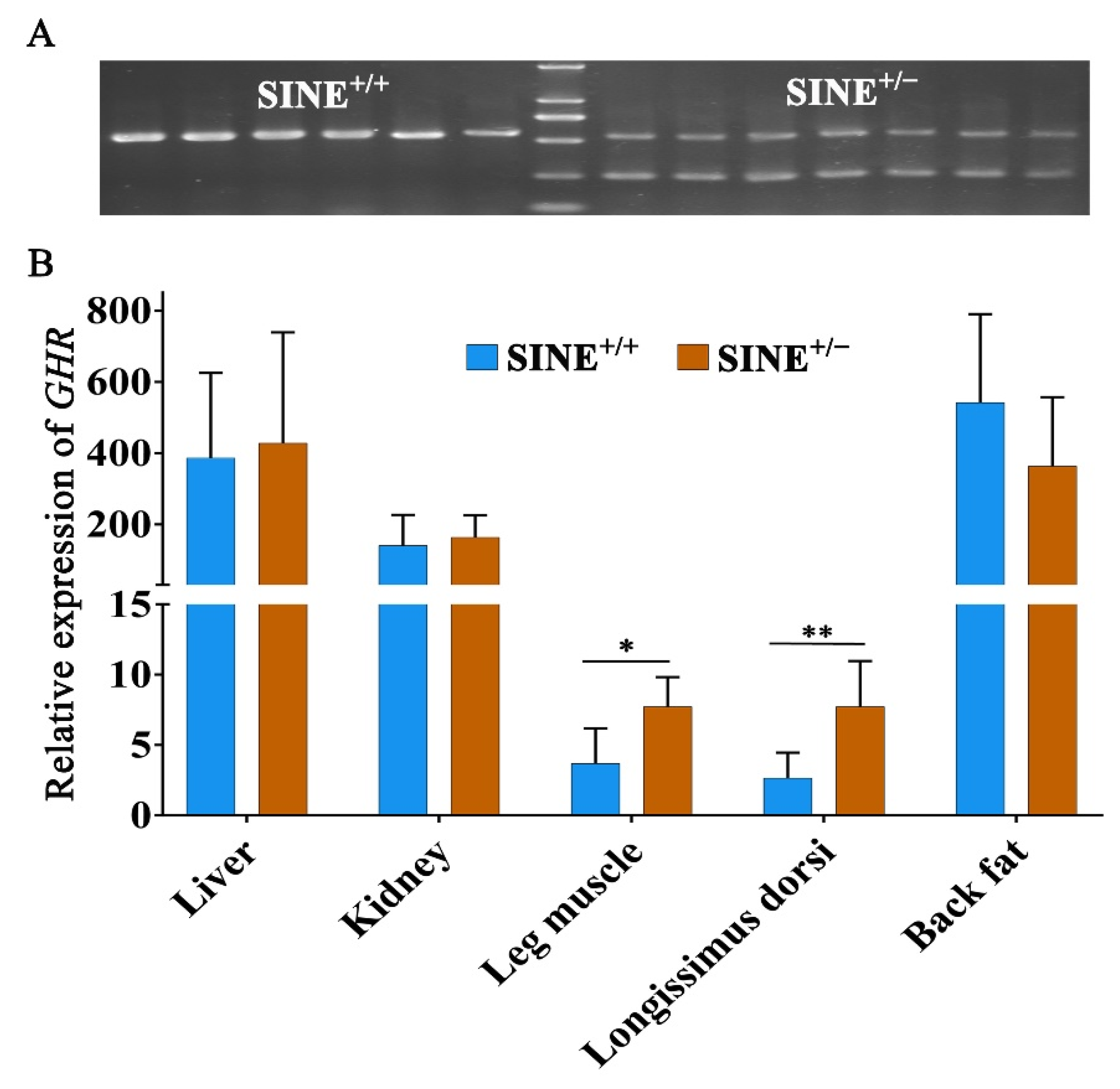 Animals 11 01871 g003 Animals 11 01871 g003