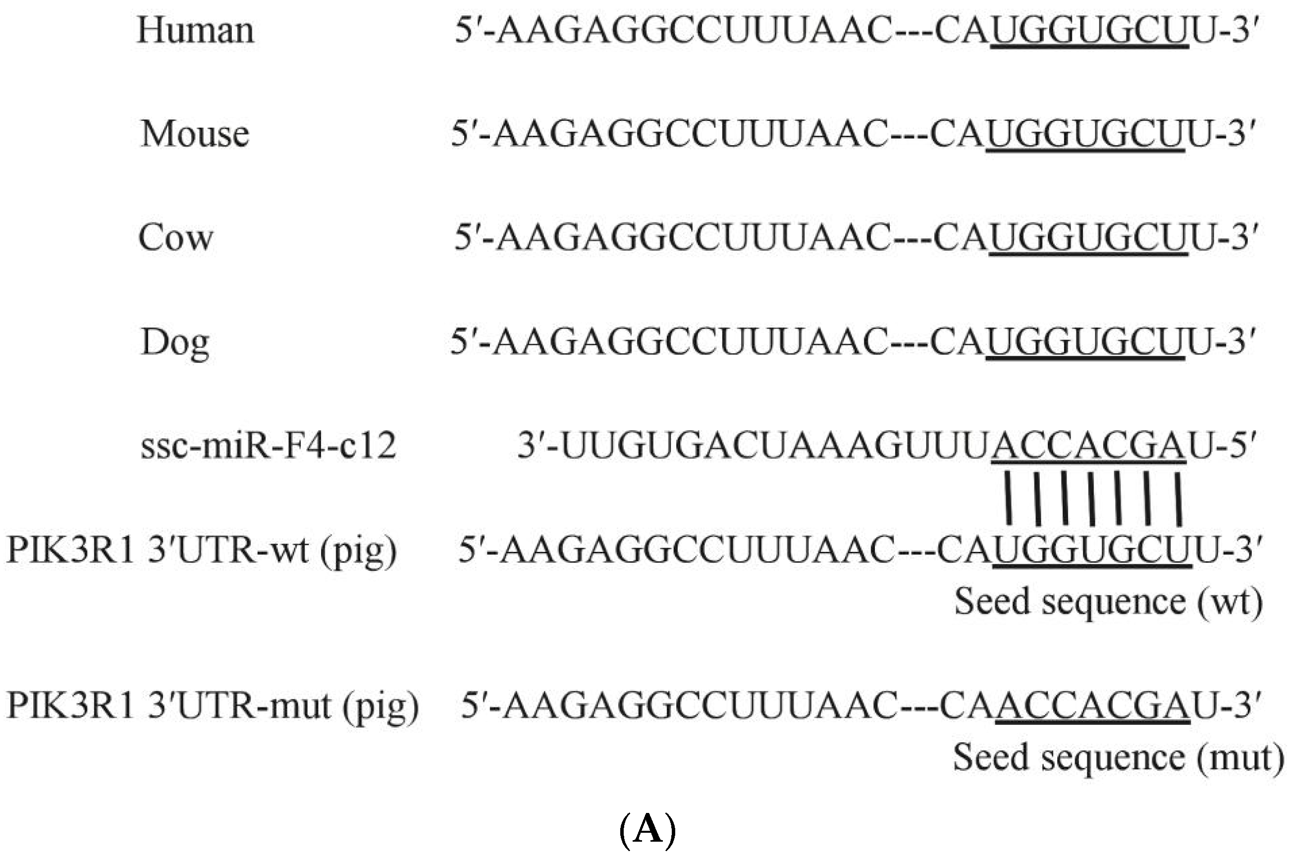 Animals 11 03053 g004a